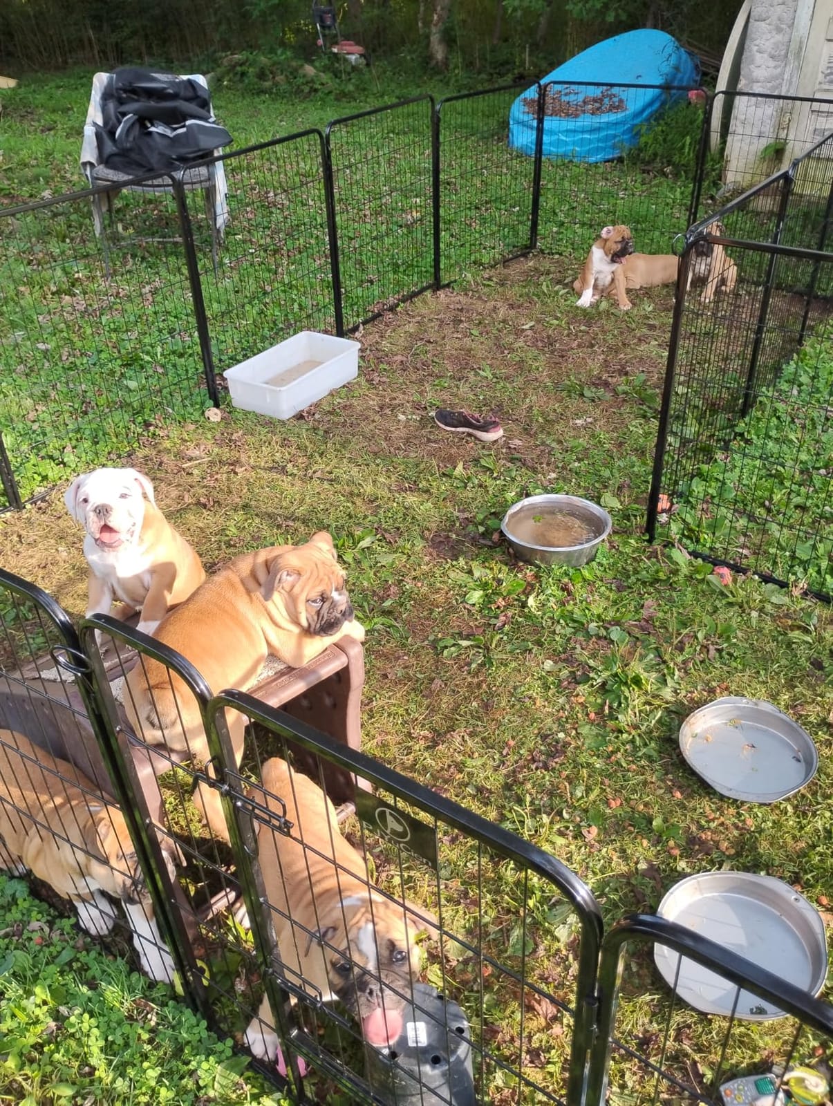 PJYuCien Puppy Playpen Plus Storage Bage with Bottom, 8 Panels 31.3