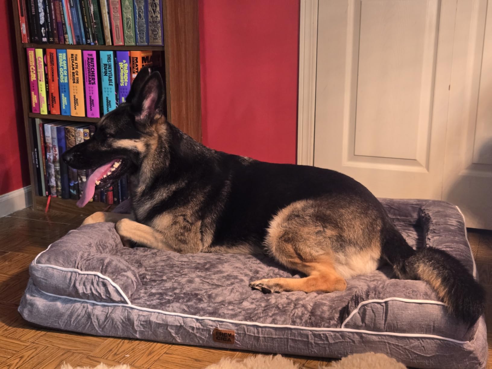 EHEYCIGA Orthopedic Small Dog Bed, Waterproof Memory Foam Washable Pet Beds customer photo 2