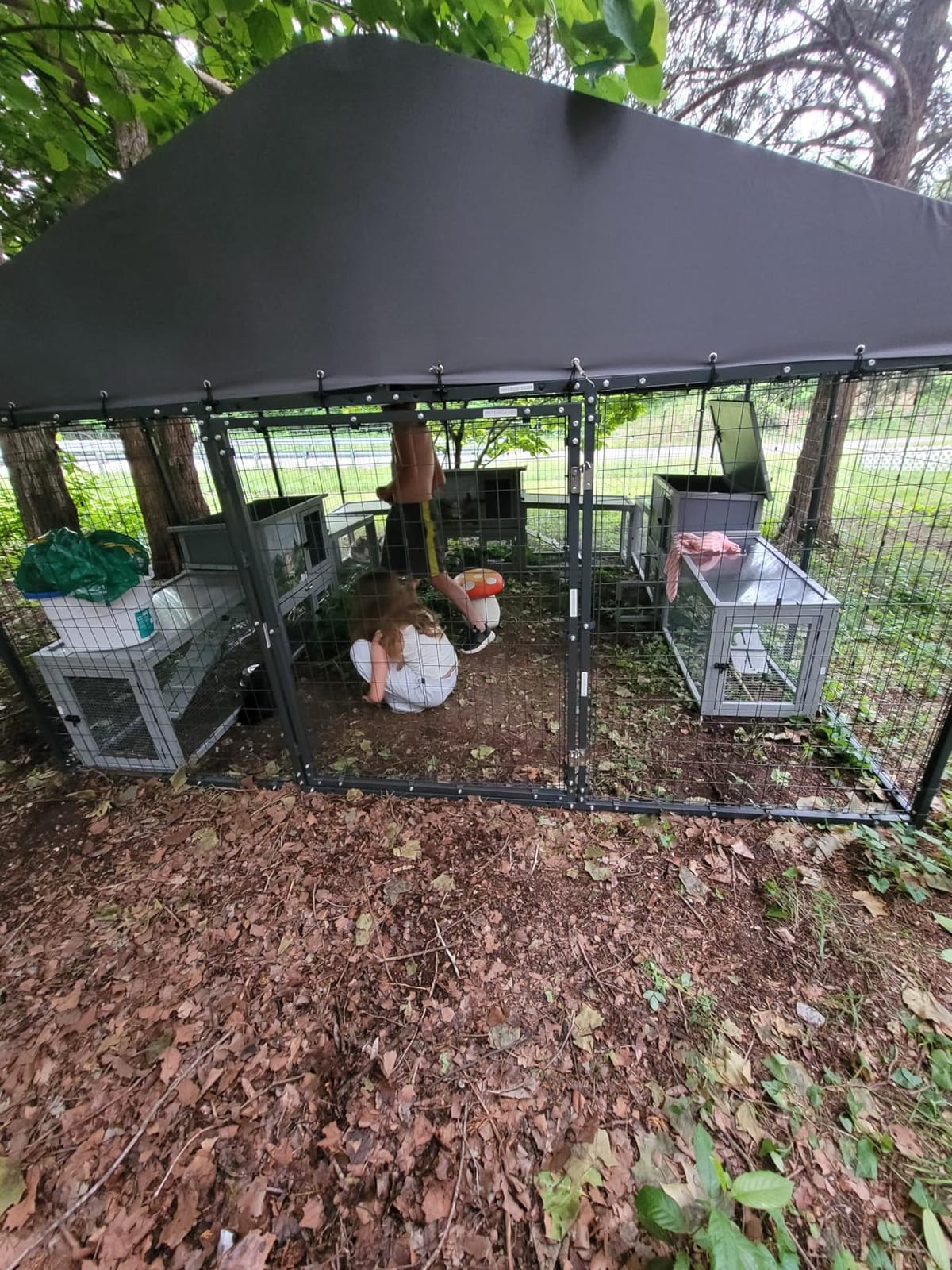 Gotland Dog Kennel Outdoor 10 x10 x6 FT, Dog Cage Outdoor for Medium/Large Dogs with Waterproof Roof Double Secure Locks Ground Spikes, All Weather Heavy Duty Dog Enclosure for Backyard Farm Ranch customer photo 2