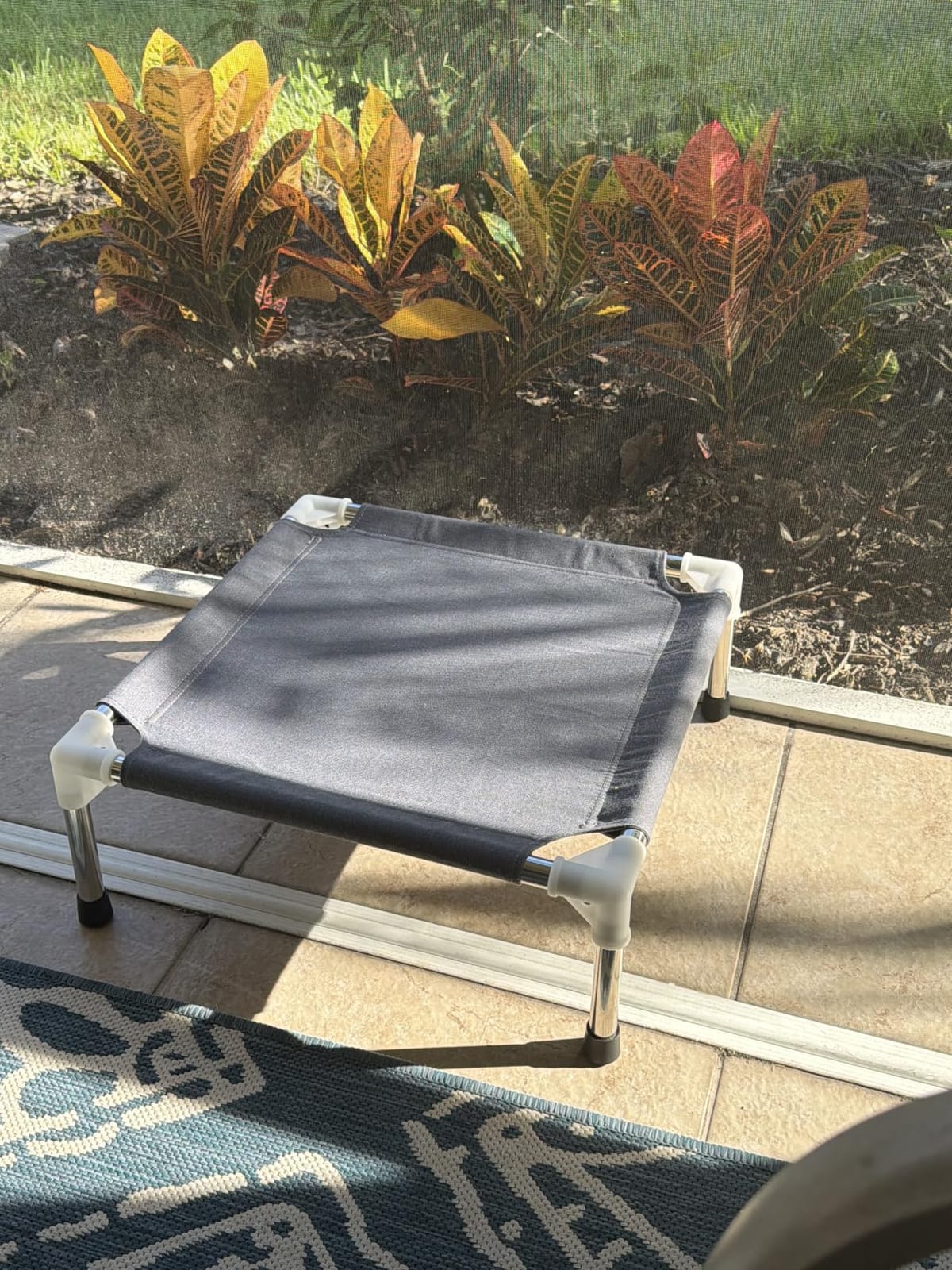 Elevated Dog Bed for Small Dogs, Dog Cooling mat Cot, Raised Dog Bed customer photo 2