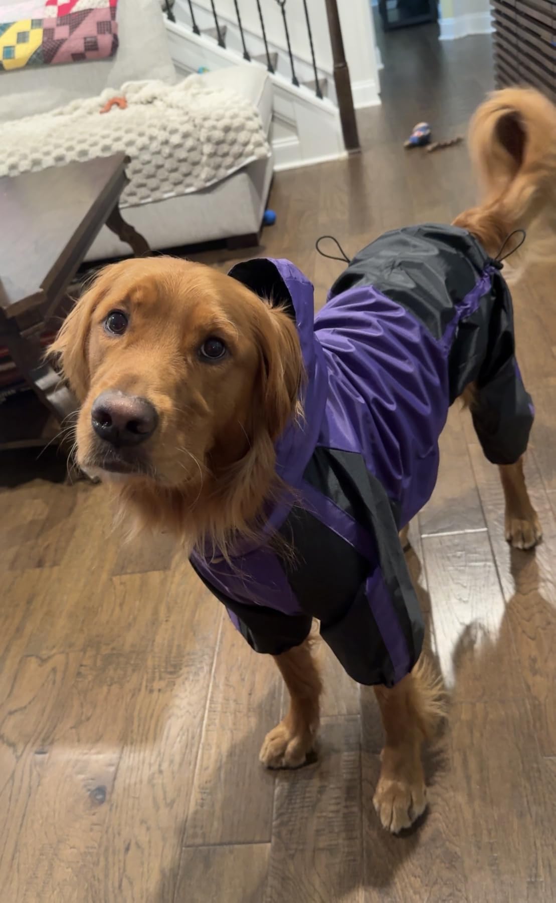 Dog Raincoat, 4 Leg Waterproof Dog Rain Jacket with Hood, Red M customer photo 2