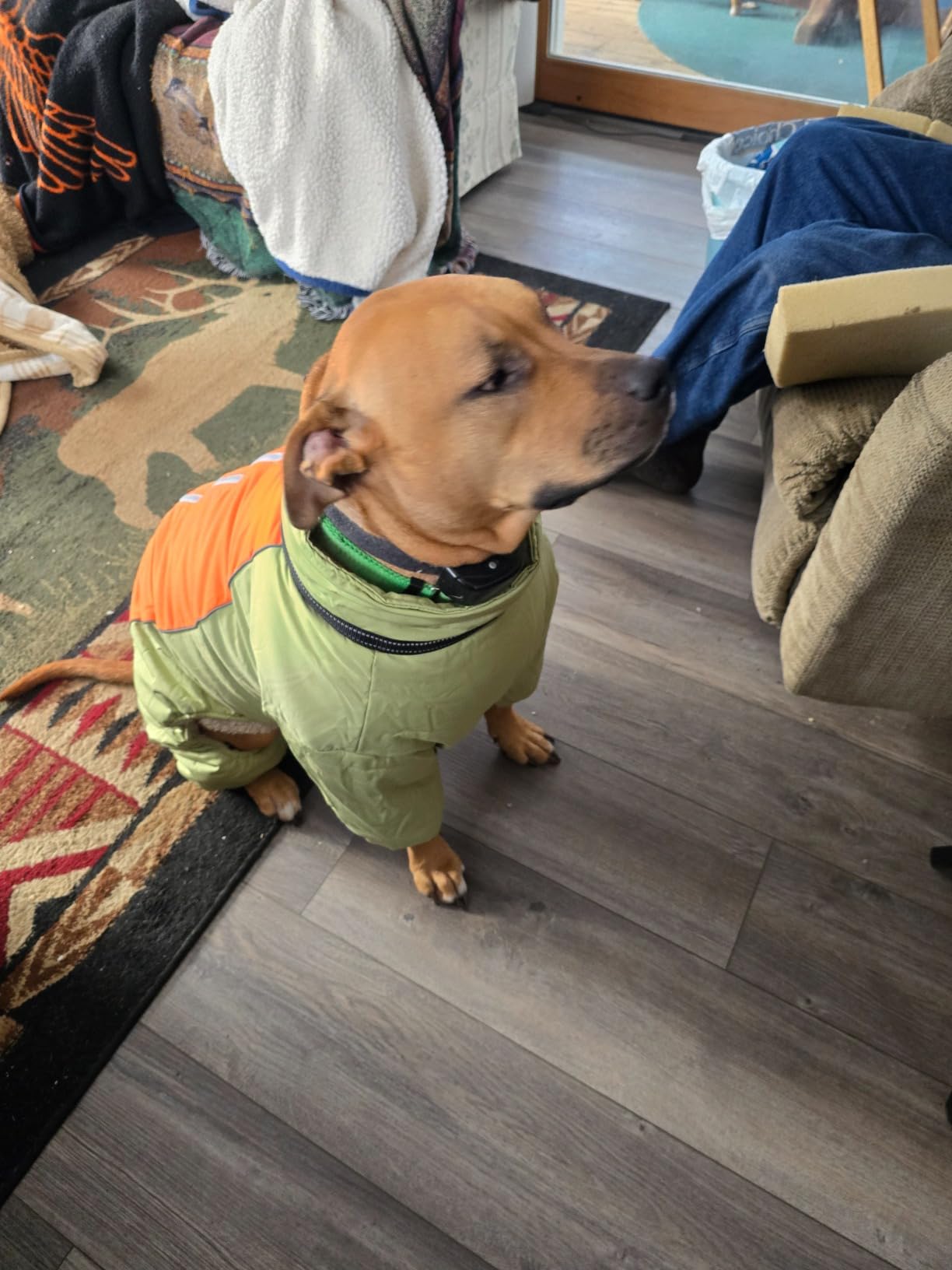 HazeBlue Fullbody Thick Winter Coat, Reflective Windproof Fleece Lined Snowsuit, Zip Up Waterproof Dog Jacket with Harness, Blue, 20 customer photo 2