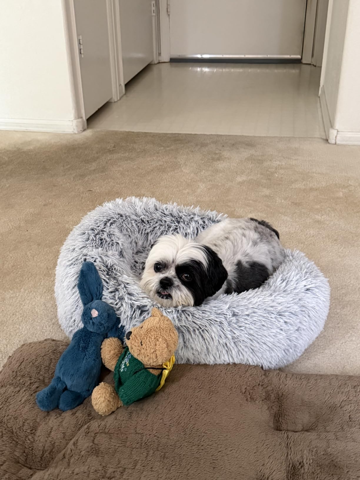 JOLLYVOGUE Calming Dog Bed Medium Size Dog, 31in Donut Washable Medium Pet Bed, Anti-Slip & Anti-Anxiety Fluffy Faux Fur Round Dogs Bed, Fits up to 45 lbs Pets (Smoke Grey) customer photo 2