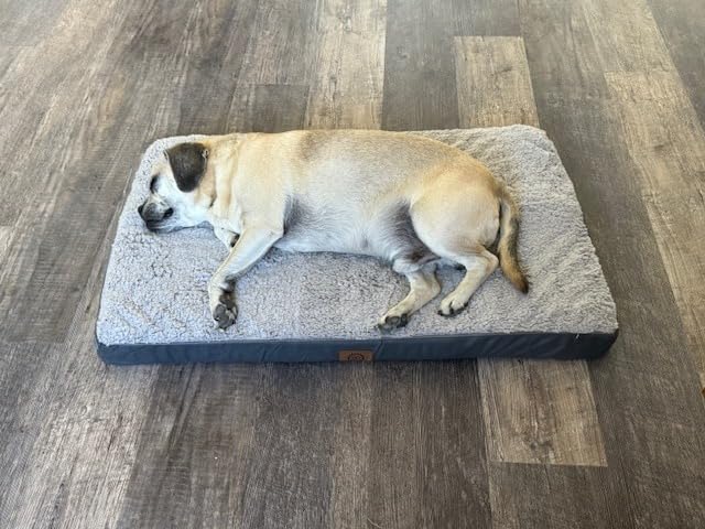 Sunheir Orthopedic Dog Beds Large Sized Dog, Big Waterproof Dog Crate Pad customer photo 2