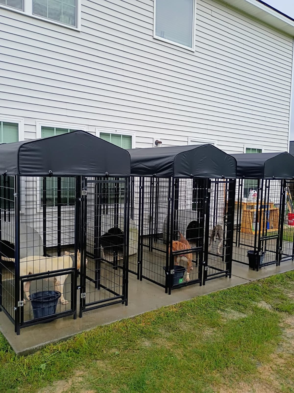 Sino Luban 2PCS Outdoor Dog Kennel Outside Run with Doggy Door, Swivel Feeder&Roof - 8x4x6FT Large Dog Kennels Pens Outside for Large Dogs Breed - Heavy Duty Cage (Can Connect to Your Dog House) customer photo 1