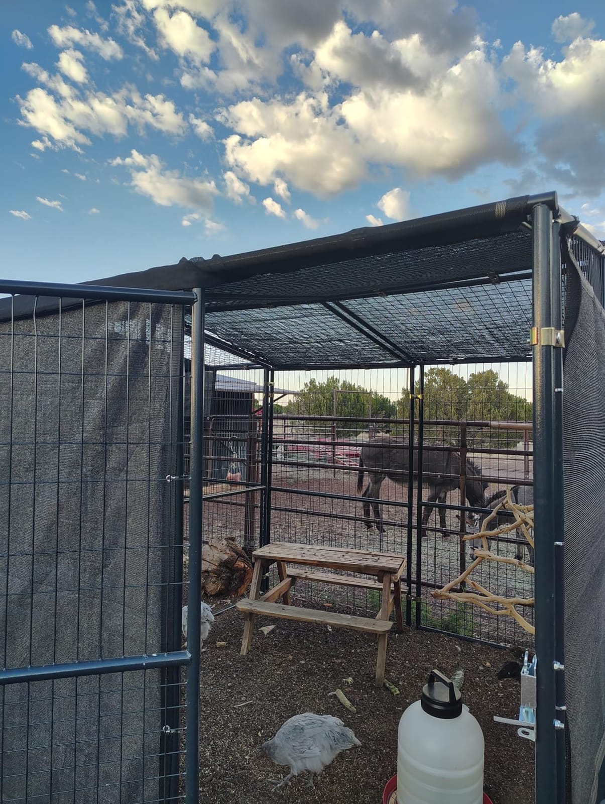 Royal Shade 6' x 4' Black 90% Shade Cloth Dog Kennel Shade Mesh Tarp Sunblock with Grommets for Dog Kennel Cover, Fence Privacy Screen, Greenhouse, Chicken Coop & Pet Playpen (We Make Custom Size) customer photo 2