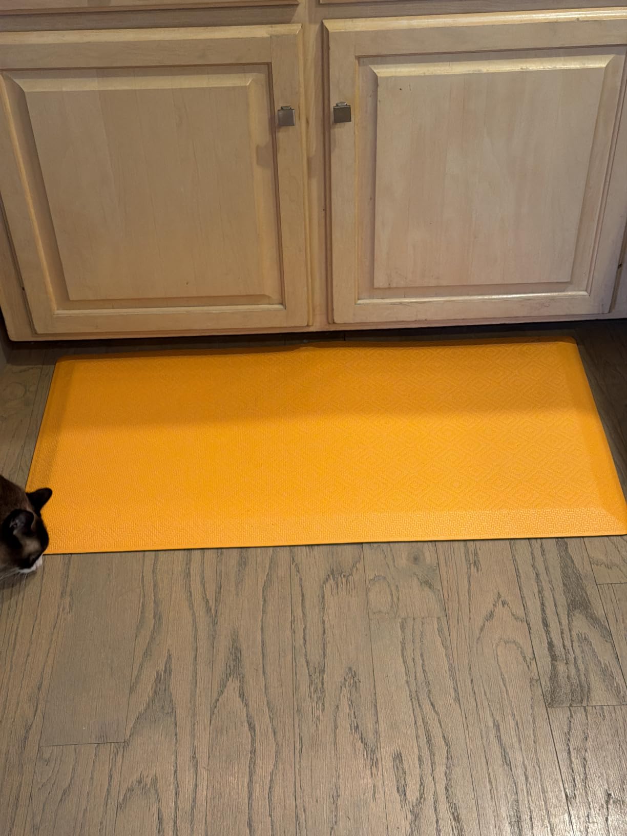 Ophanie Anti Fatigue Cushioned Mat, 3/4 inch, 20x48 Anti Fatigue Cushioned Mat,Kitchen Rugs,Waterproof,Comfort Ergonomic Standing Mat for Office,Home,Sink with 99+ Pairs of Anti-Slip Bottom Ridges customer photo 1