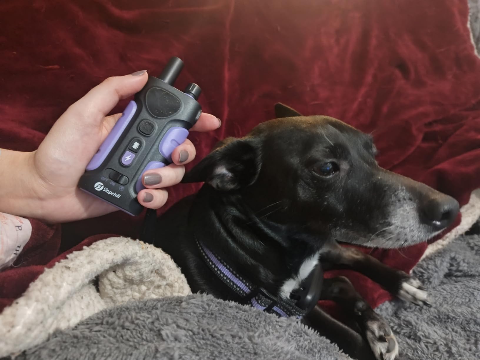 SLOPEHILL Dog Shock Collar,4200FT Dog Training Collar with Remote,Pink customer photo 2