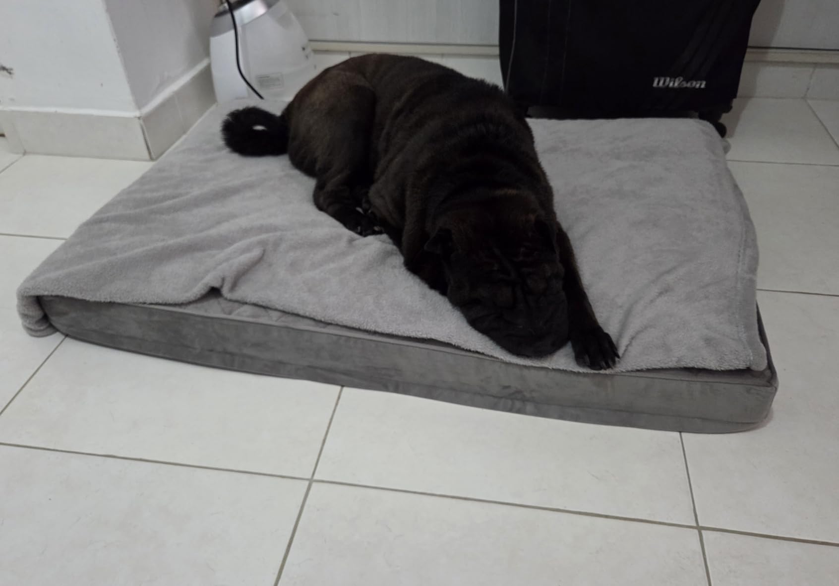 NUPIDA Orthopedic XL Dog Beds Large Sized with Washable Cover, 41x27, Grey customer photo 2