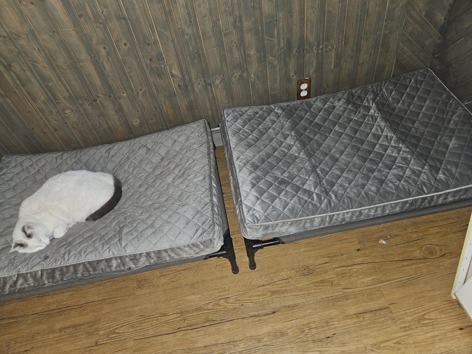 NUPIDA Orthopedic Large Dog Bed for Crate with Washable Cover, 35x22, Grey customer photo 1