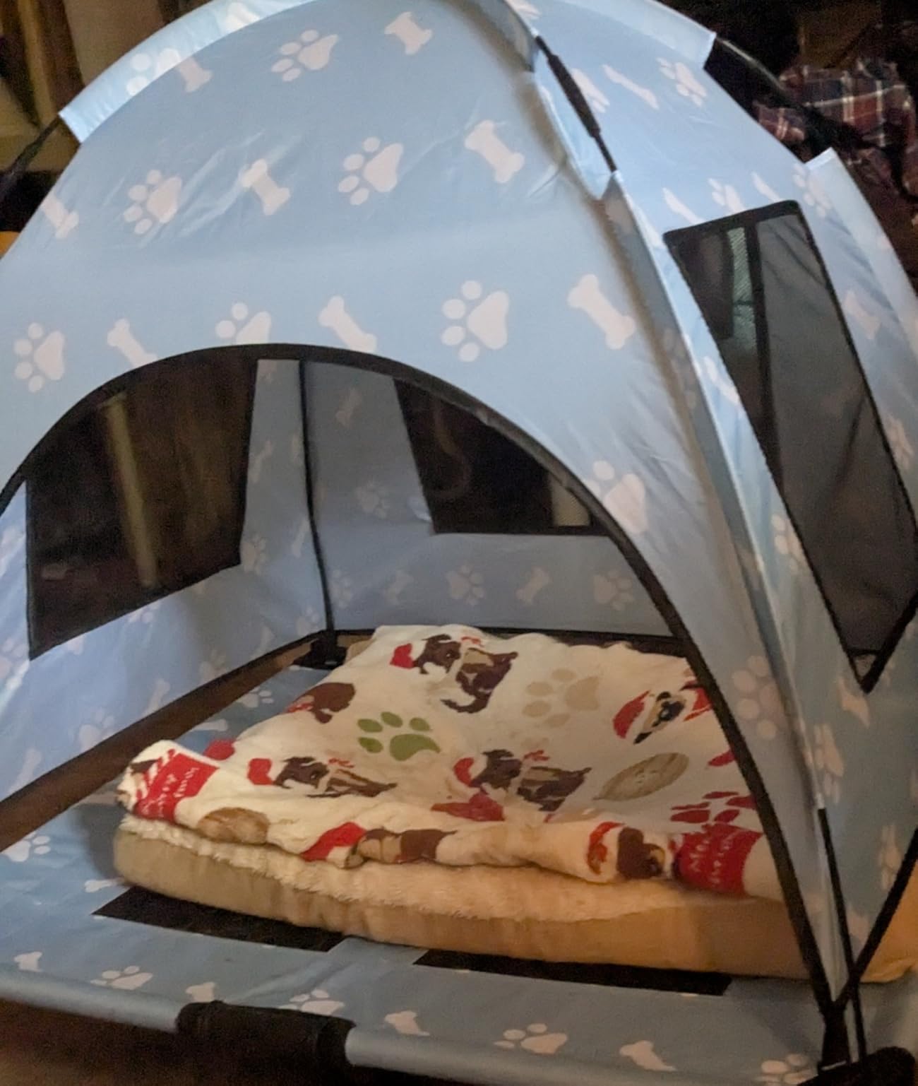 Elevated Covered Dog Bed - 36