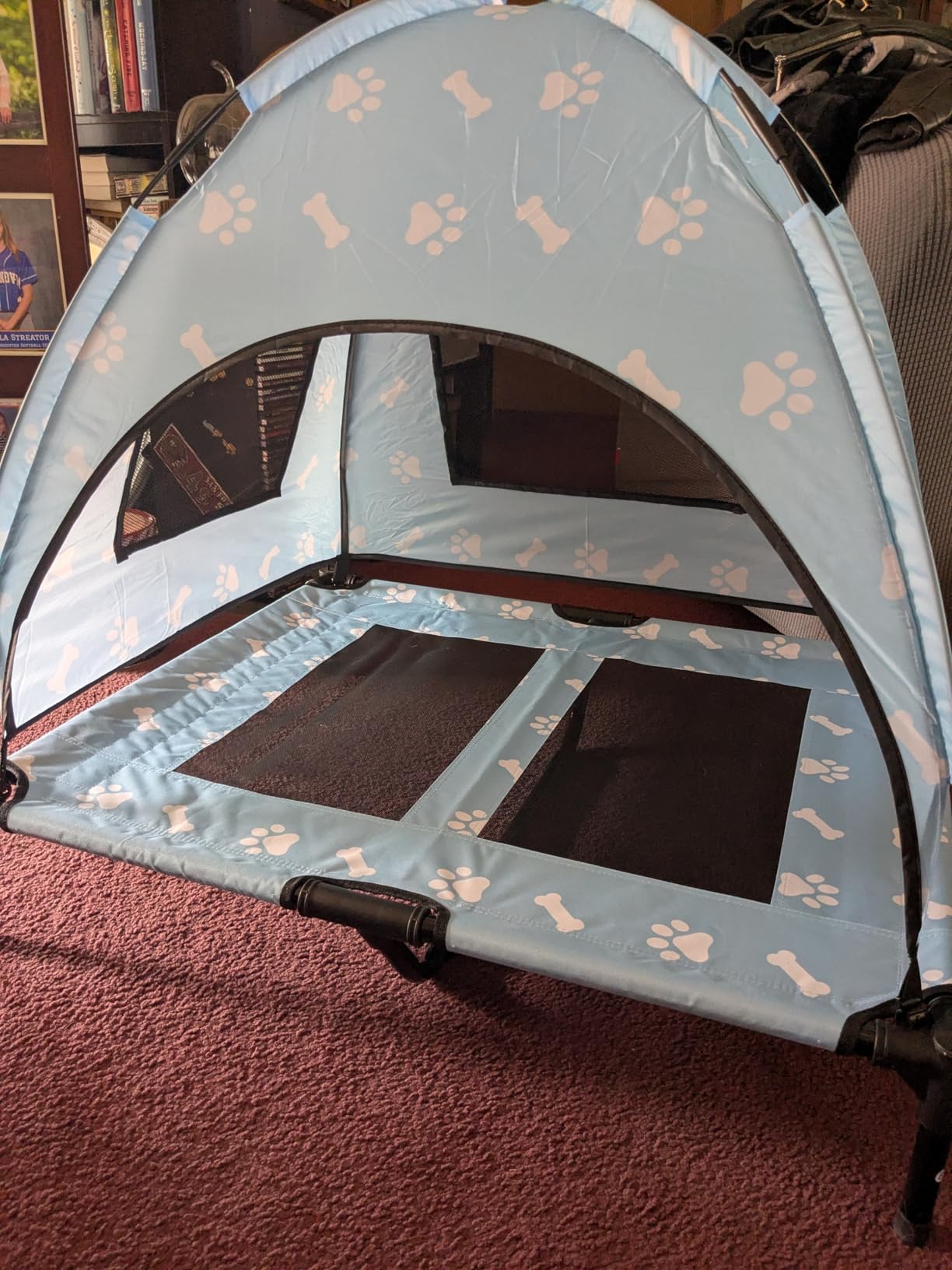 Elevated Covered Dog Bed - 36