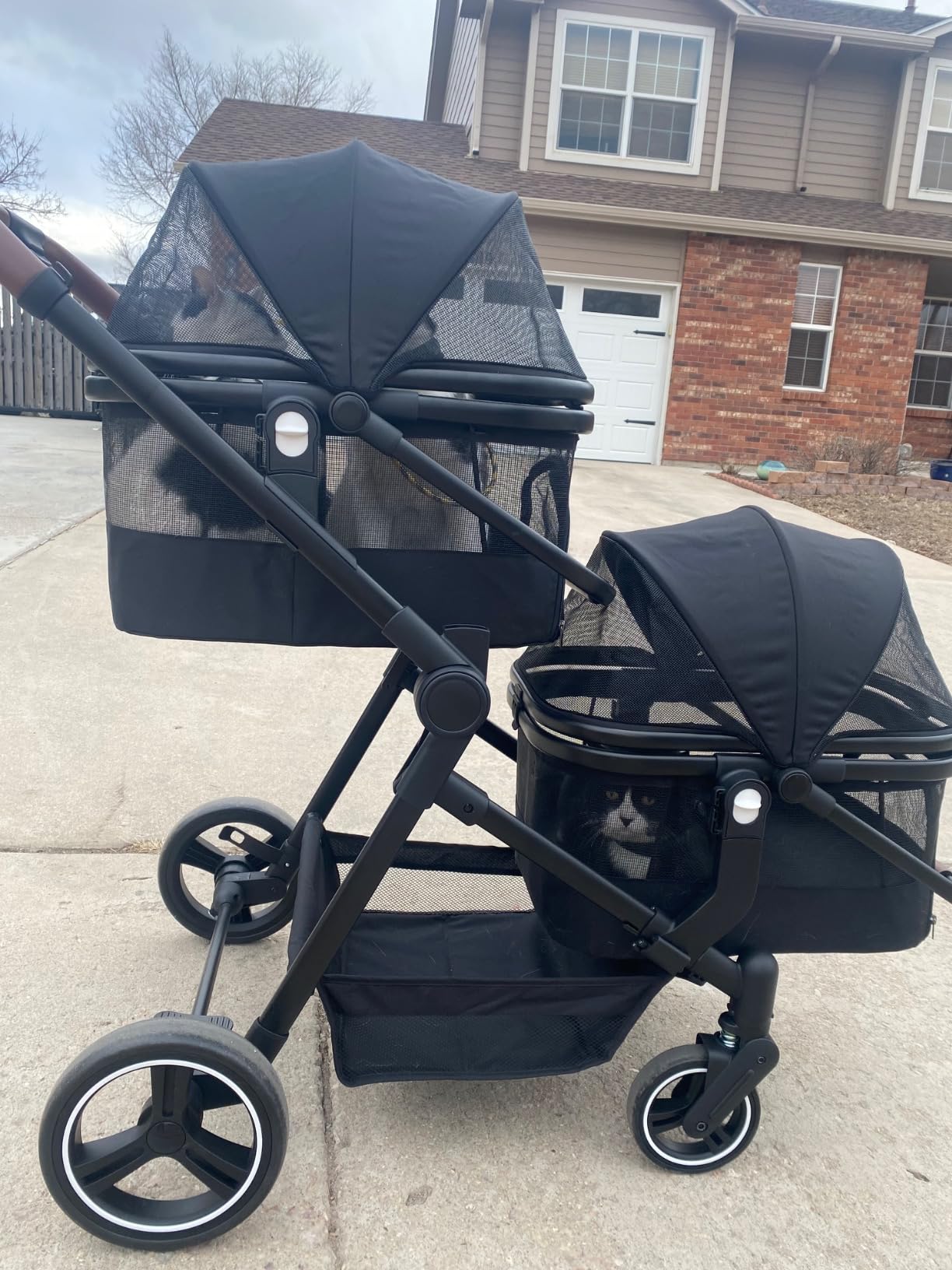 Foldable Double Pet Stroller for 2 Small Medium Cats Dogs customer photo 1