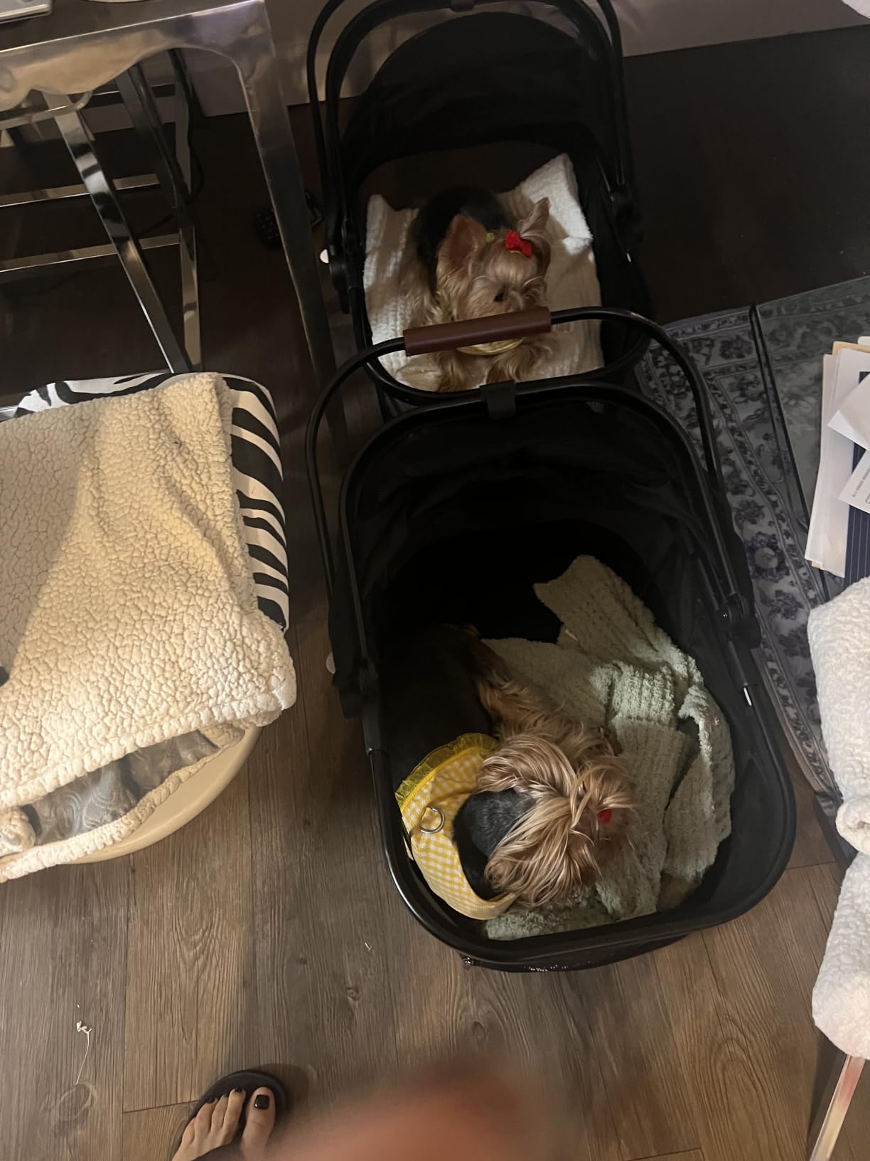 Foldable Double Pet Stroller for 2 Small Medium Cats Dogs customer photo 2