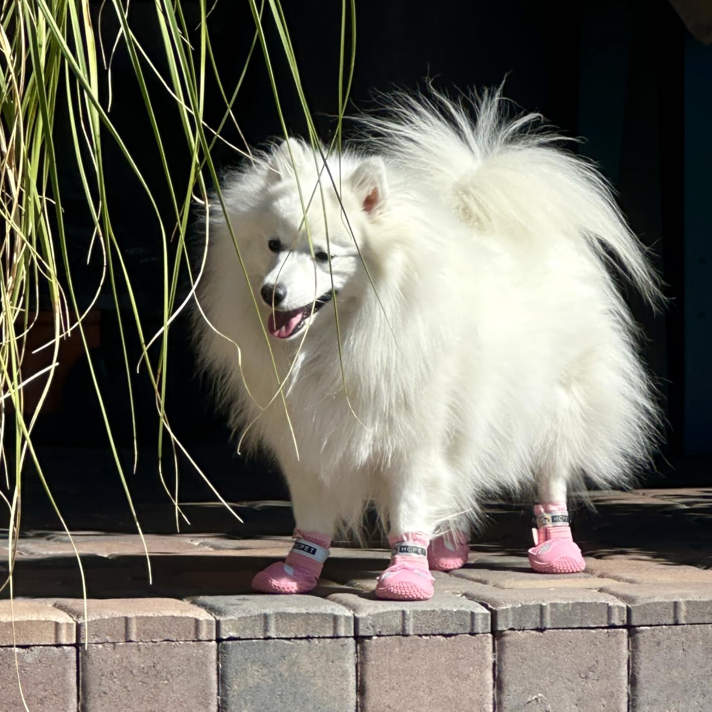 Hcpet Dog Shoes for Dogs, Dog Booties for Dogs, Anti-Slip Dog Boots & Paw Protectors for Hot Pavement Winter Snow Hiking with Reflective Straps Pink Size 1, 4PCS customer photo 2