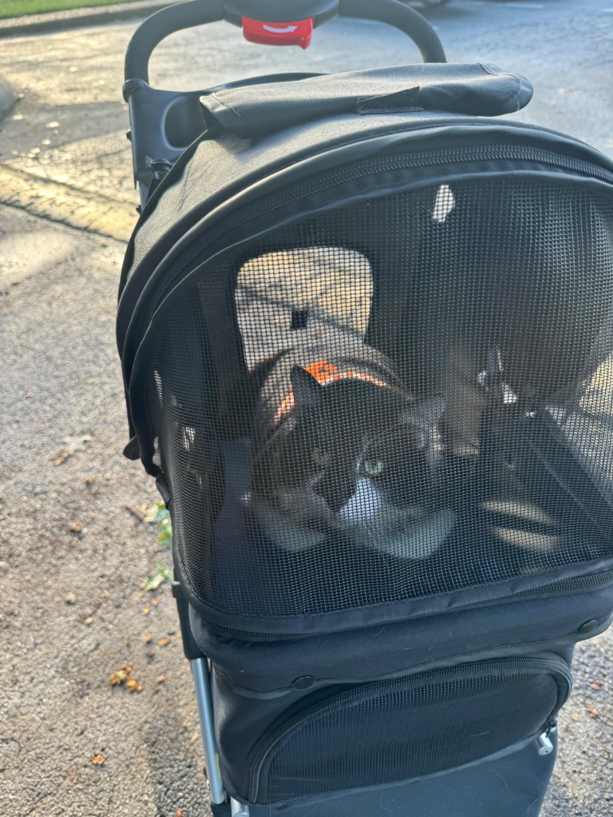 Foldable Pet Stroller for Cats and Dogs 3 Wheels Carrier Strolling Cart with Weather Cover, Storage Basket + Cup Holder (Pink) customer photo 2