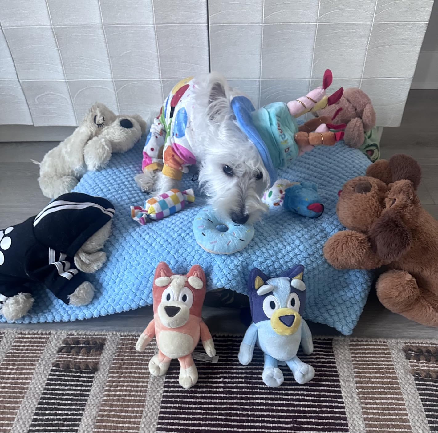 lilfrd 2 Pack Squeaky Rope Plush Dog Toys for Small Medium Puppies customer photo 1
