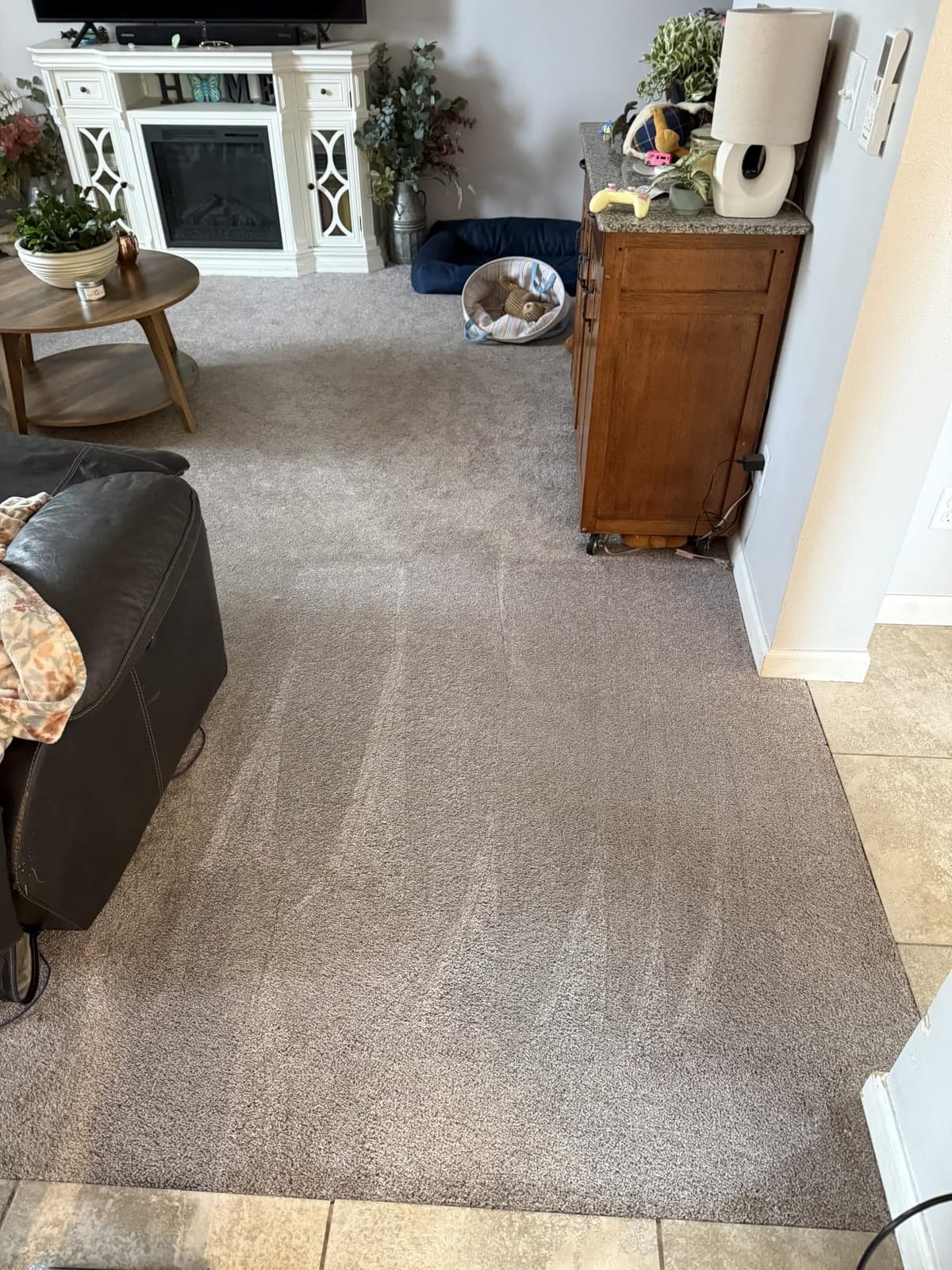 BISSELL TurboClean Upright Carpet Cleaner, OXY Formula, 3952 customer photo 1