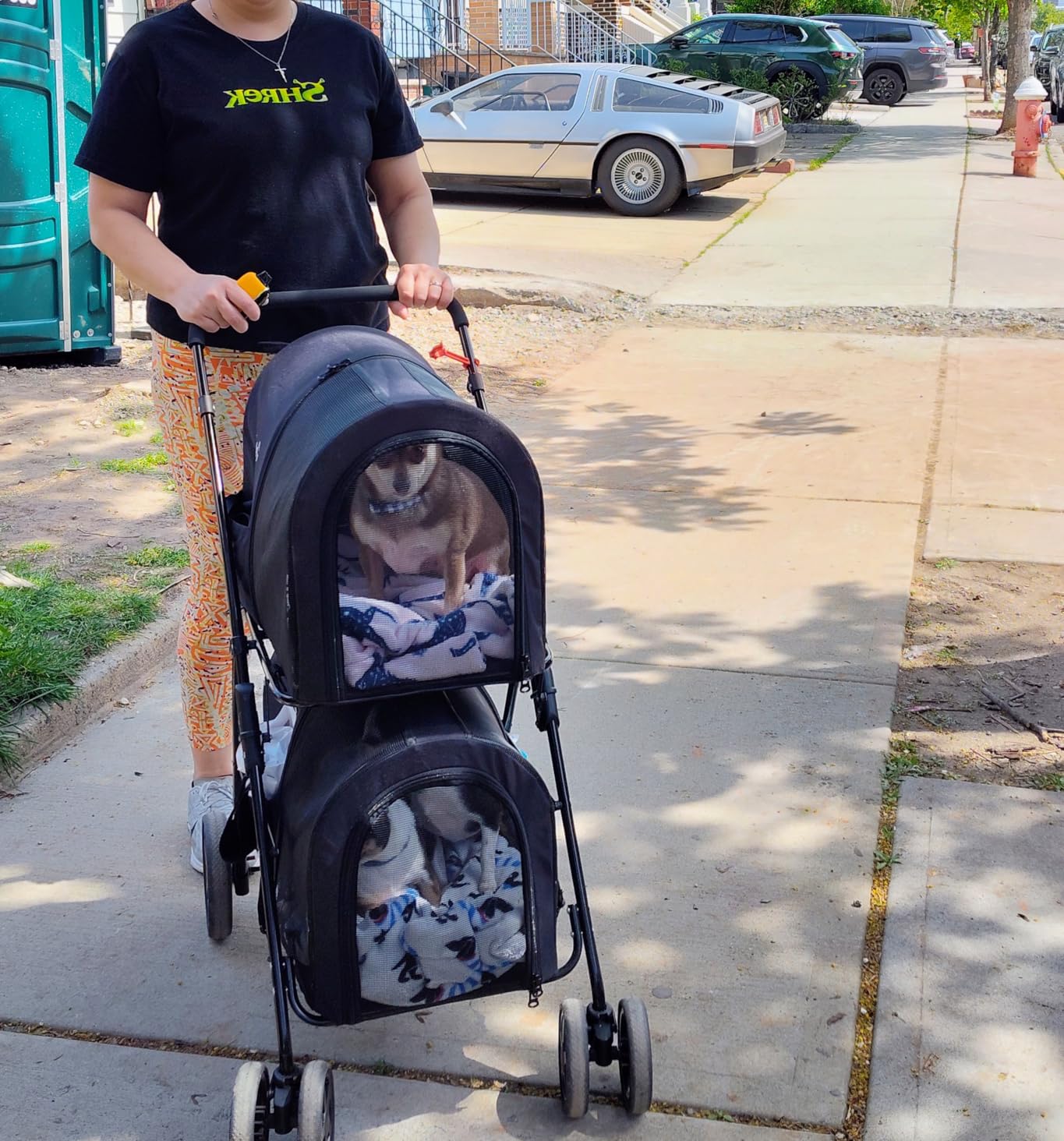 Giantex Double Pet Stroller with 2 Detachable Carrier Bags, Safety Belt, 4 Lockable Wheels, Folding Cat & Dog Stroller for Small Medium Pets, Cats Dogs Puppy Travel Strolling Cart (Gray) customer photo 2