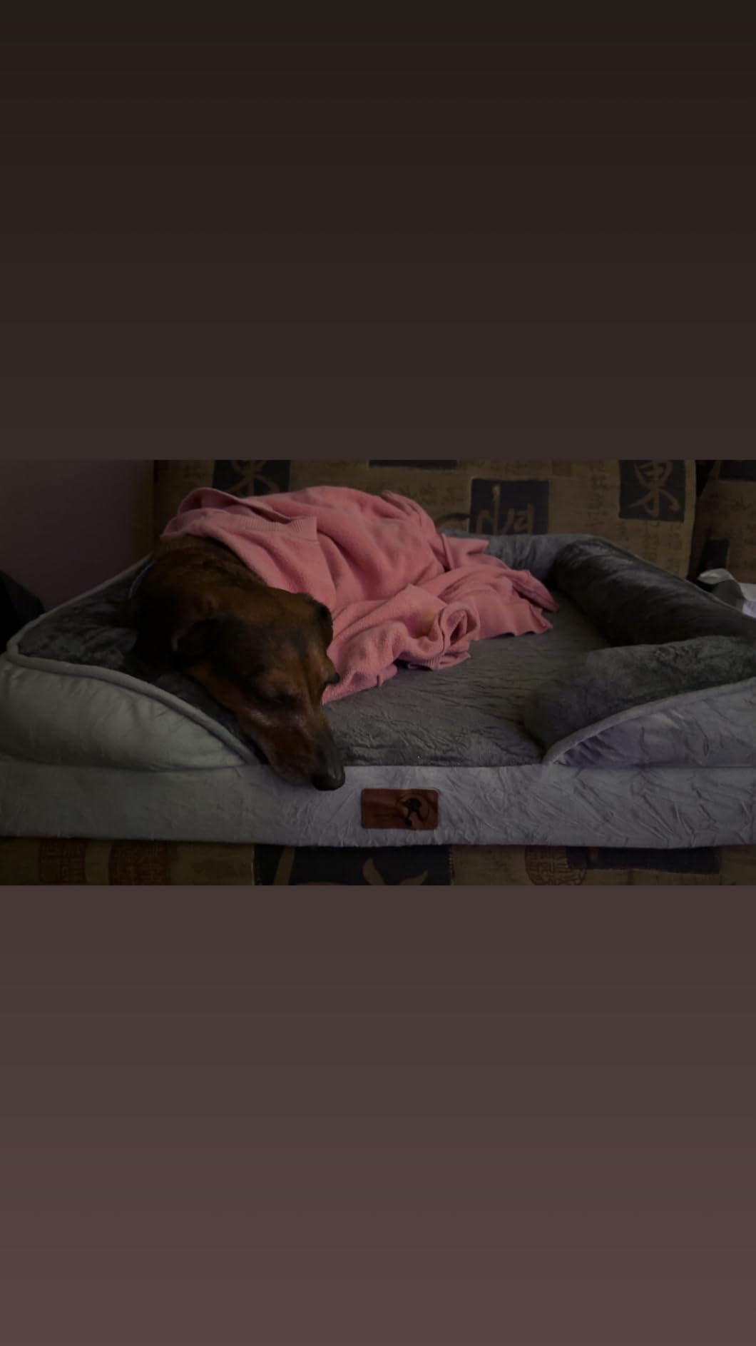 Spotted Play Orthopedic Dog Bed with Sides - Dog Sofa Beds for Medium Dogs, Supportive Foam Pet Couch Bed with Washable Removable Cover, Waterproof Lining and Non-Slip Bottom, Grey - M customer photo 2
