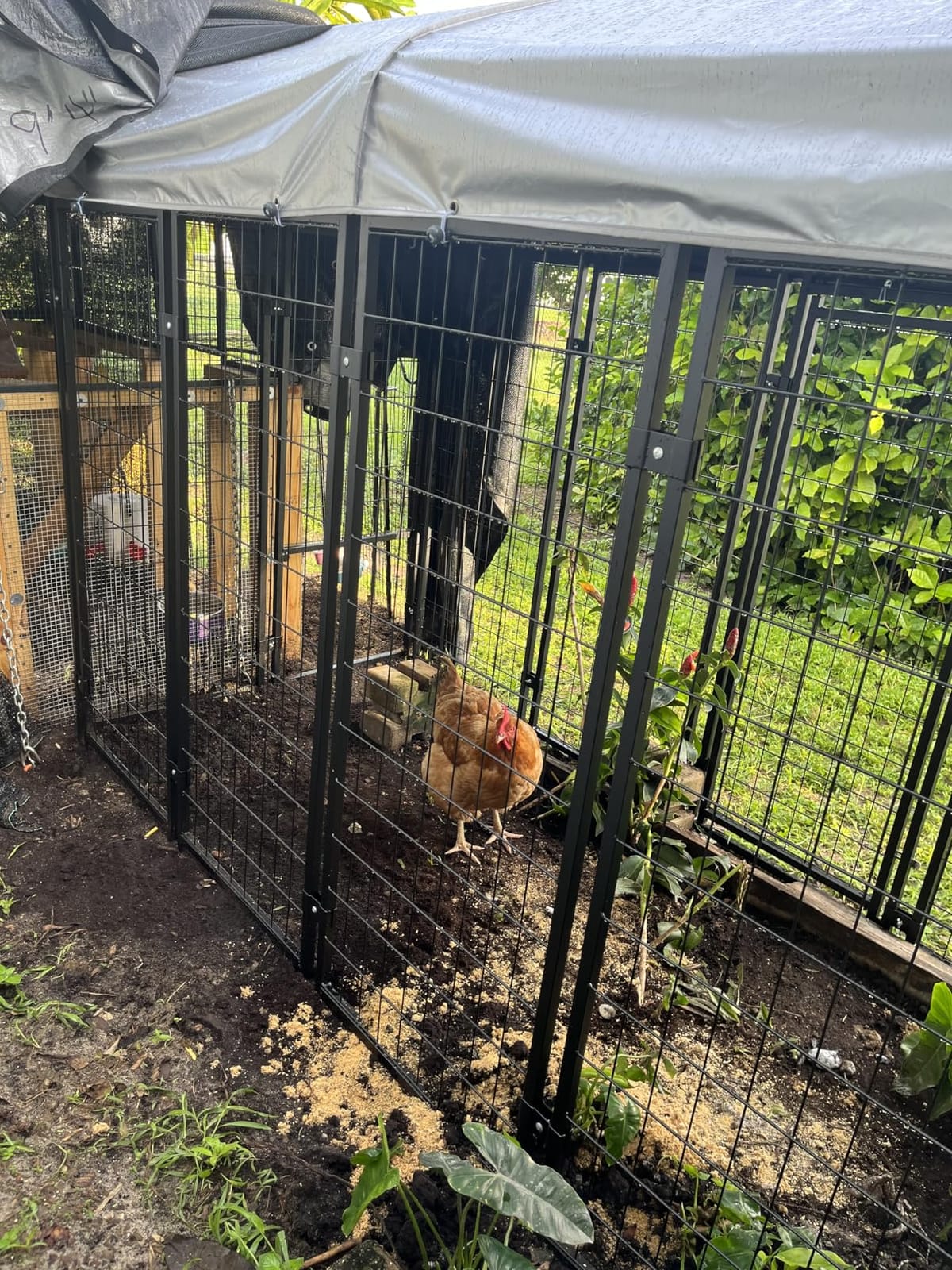 Dog Kennel Outdoor, Large Outside Dog Kennel with Roof & Swivel Feeders/Removable Doggy Door Allow Connecting Your Dog House, Heavy Duty Dog Run Pen for Medium/Large Dogs (8'L x 4'W x 6'H) customer photo 1