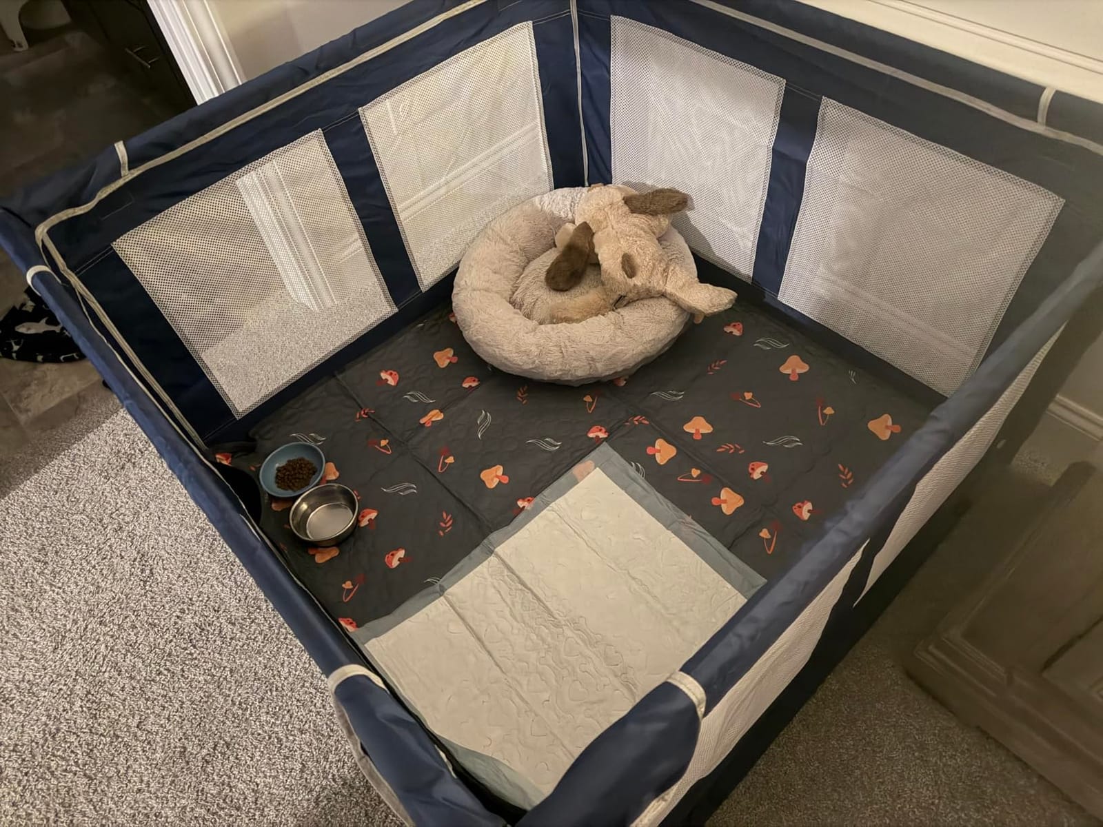 Dog Kitten Playpen with Cover, 42x42 x25.5 Puppy Playpen for Small Pet with See-Through Topper Proof, Green customer photo 1