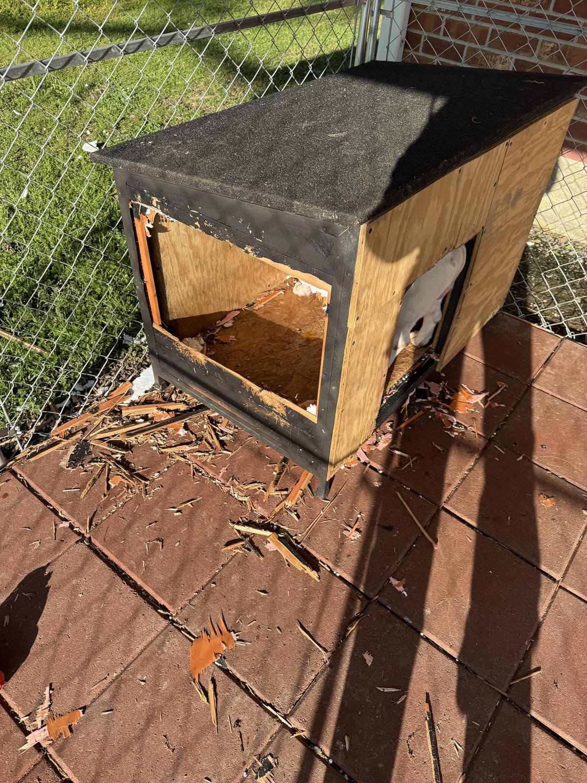 Outdoor XXL Insulated Wooden Dog House Weatherproof Chew Resistant Frame customer photo 2