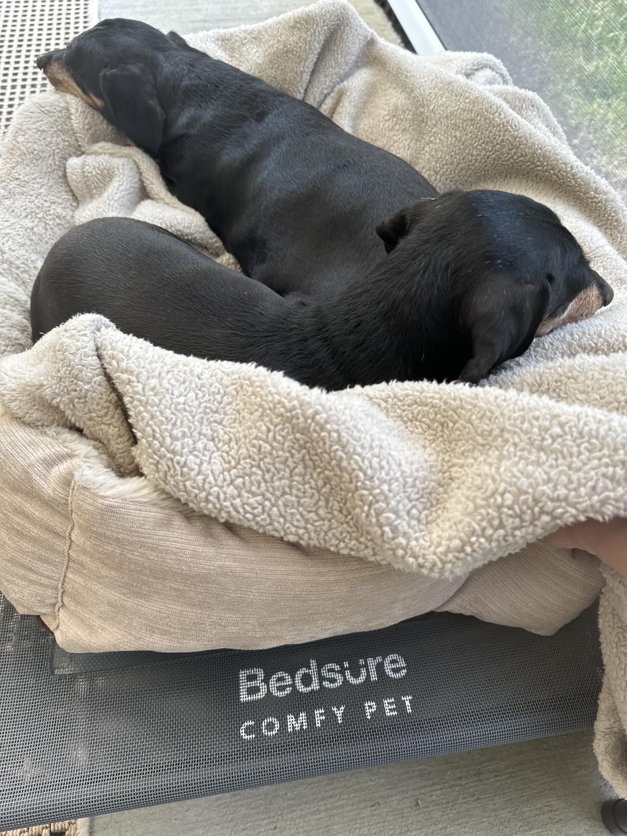 Bedsure Outdoor Elevated Cooling Dog Bed Medium Size Dog, 41in Terracotta customer photo 2