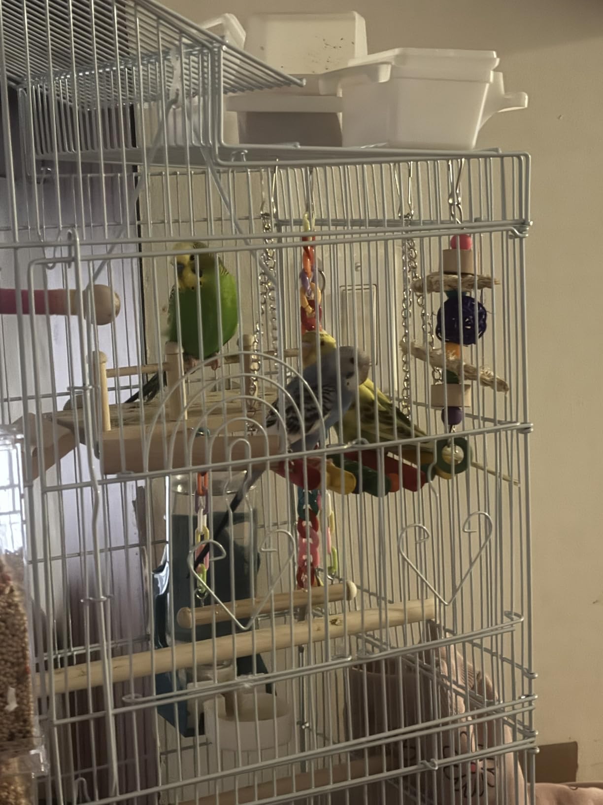 DWVO 62-inch Metal Bird Cage customer photo 1