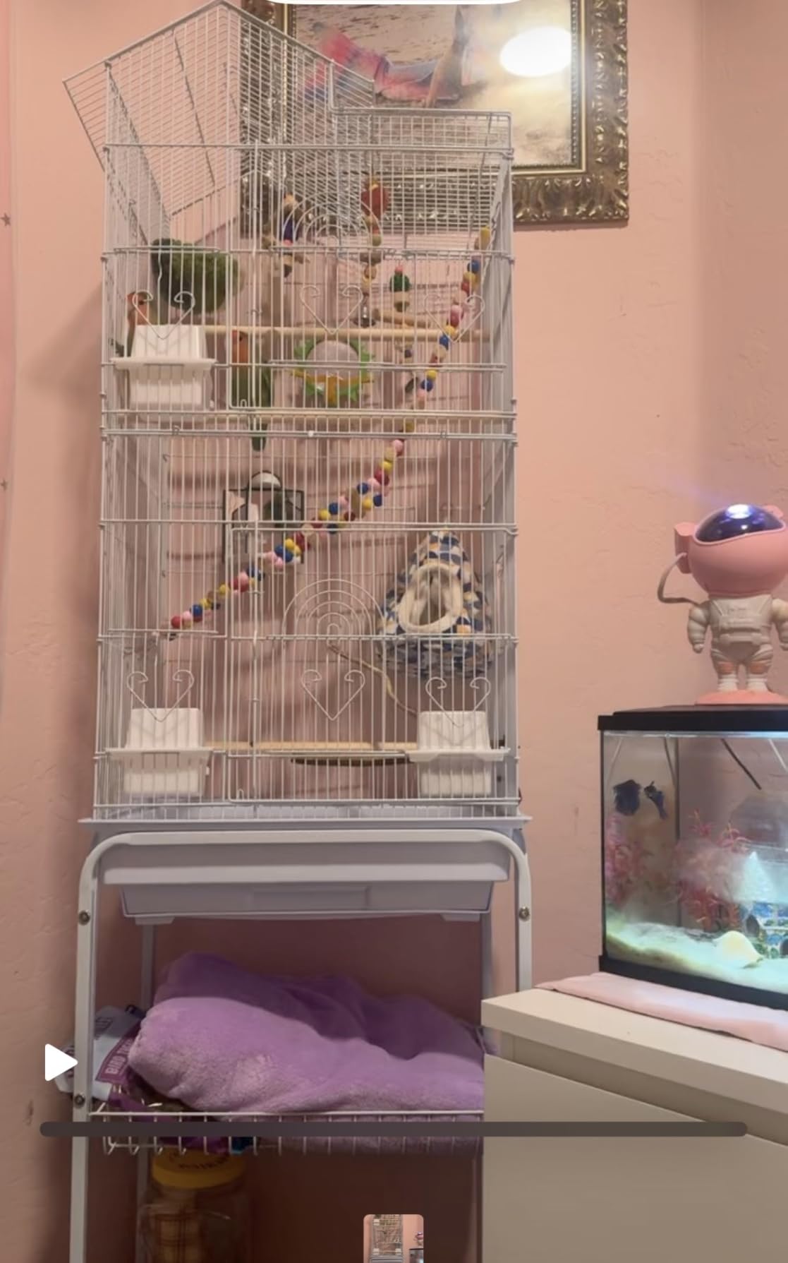 DWVO 62-inch Metal Bird Cage customer photo 2