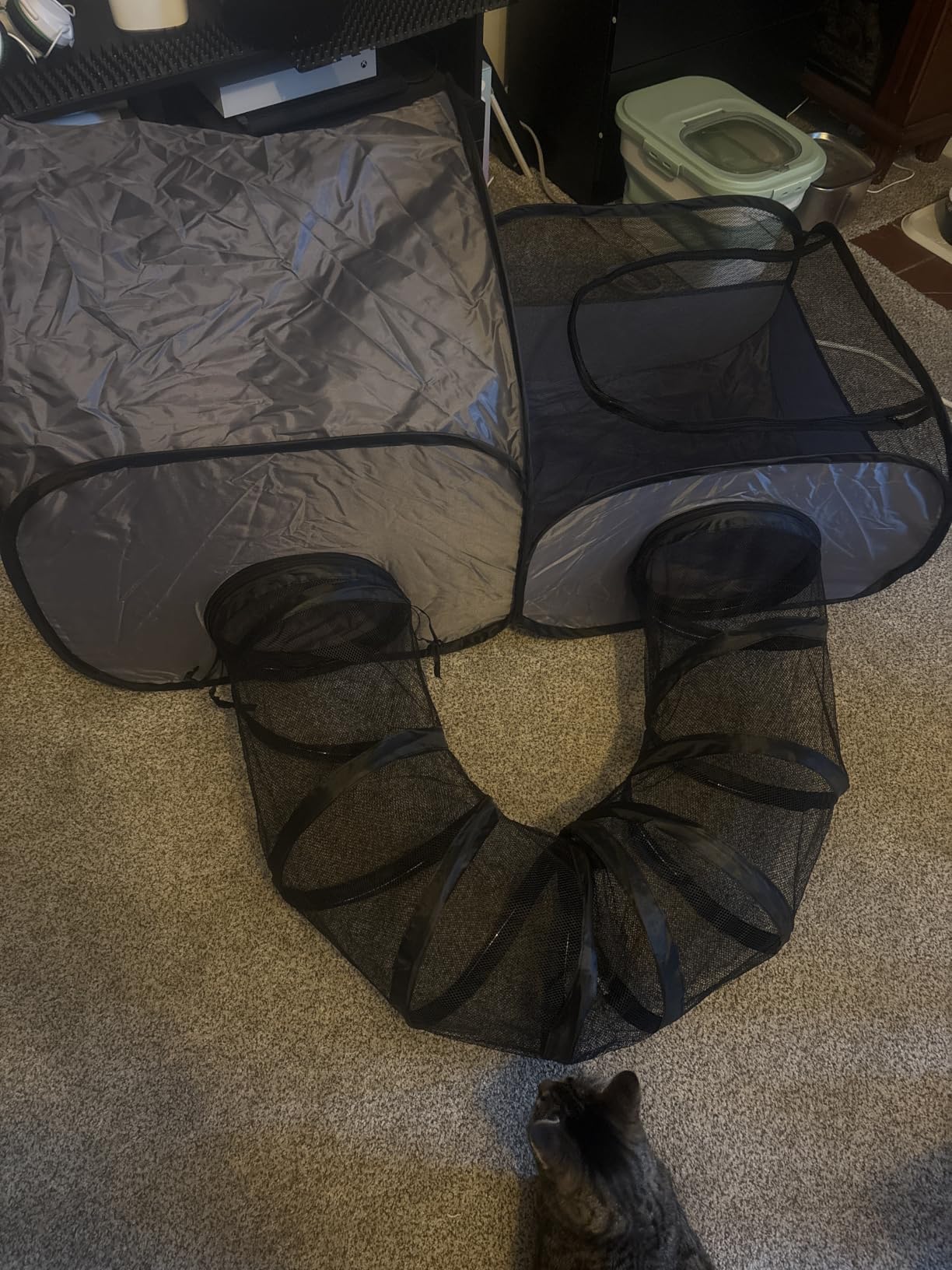 Tailtastic Indoor/Outdoor Cat Playpen with Surround Tunnel 2 Zones Grey customer photo 1