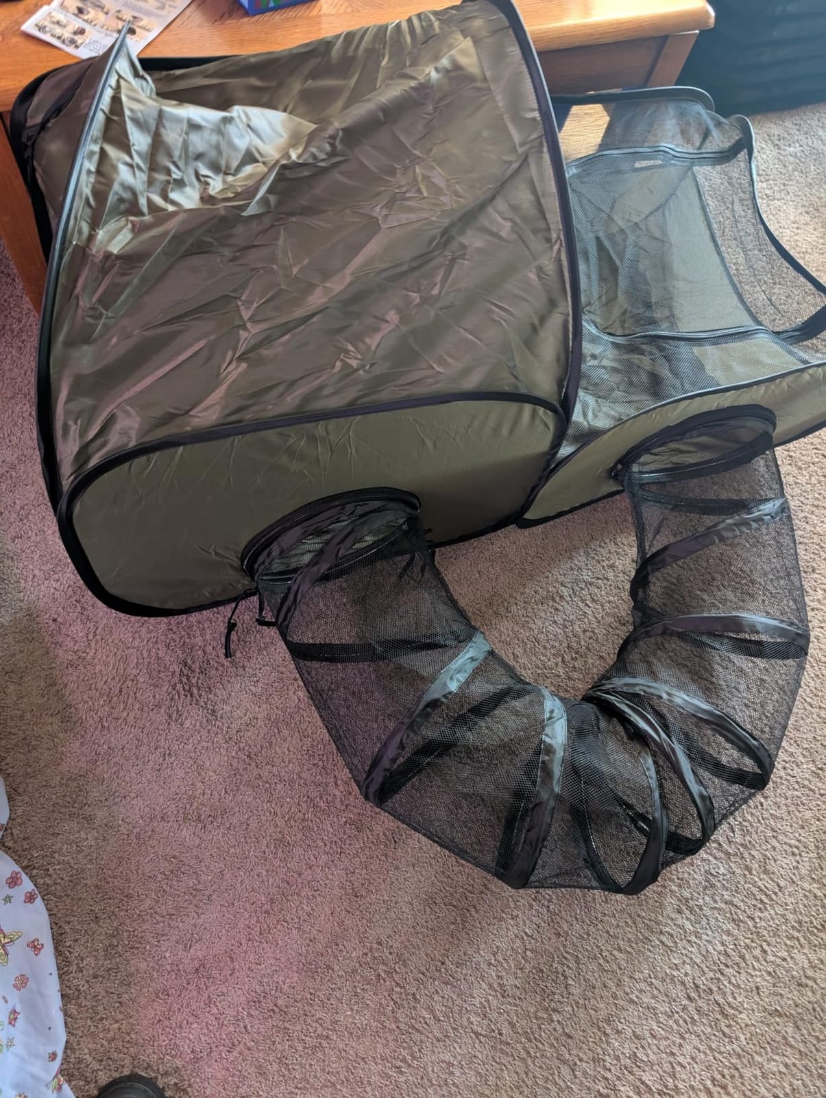Tailtastic Indoor/Outdoor Cat Playpen with Surround Tunnel 2 Zones Grey customer photo 2