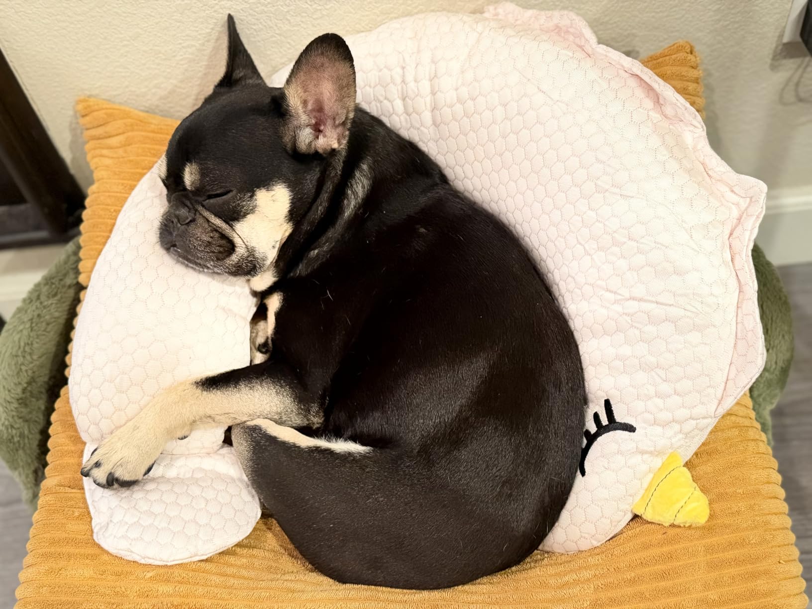 BurgeonNest Small Dog Calming Pillow for Dogs and Cats, Grey M customer photo 1