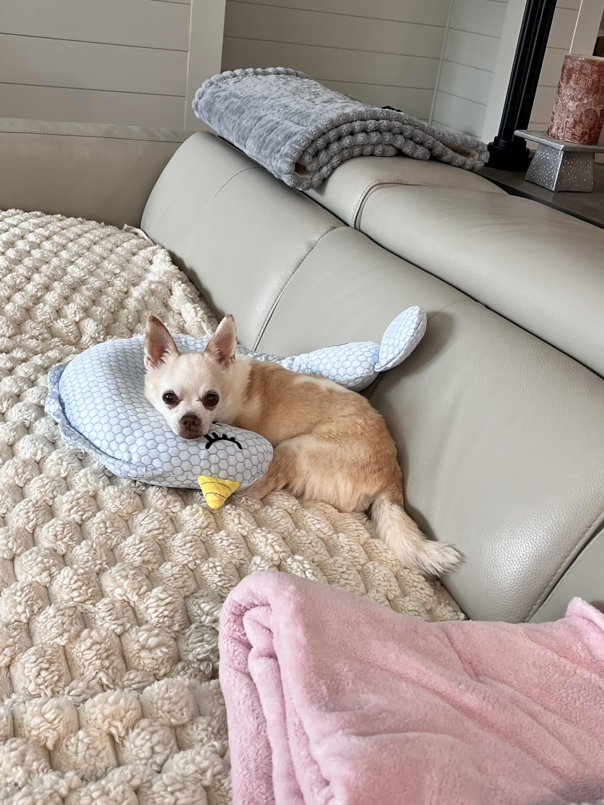 BurgeonNest Small Dog Calming Pillow for Dogs and Cats, Grey M customer photo 2