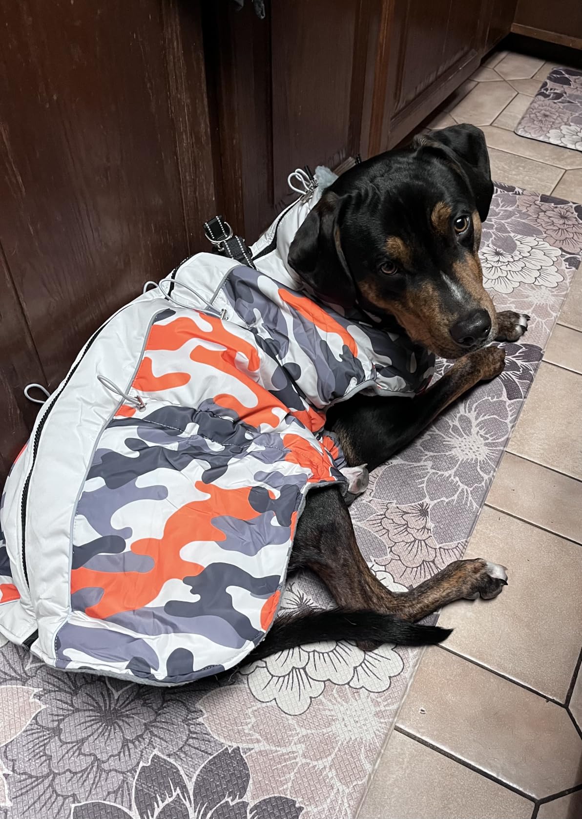 Waterproof Dog Coats for Large Dogs, Zip Up Dog Winter Jacket with Harness customer photo 2