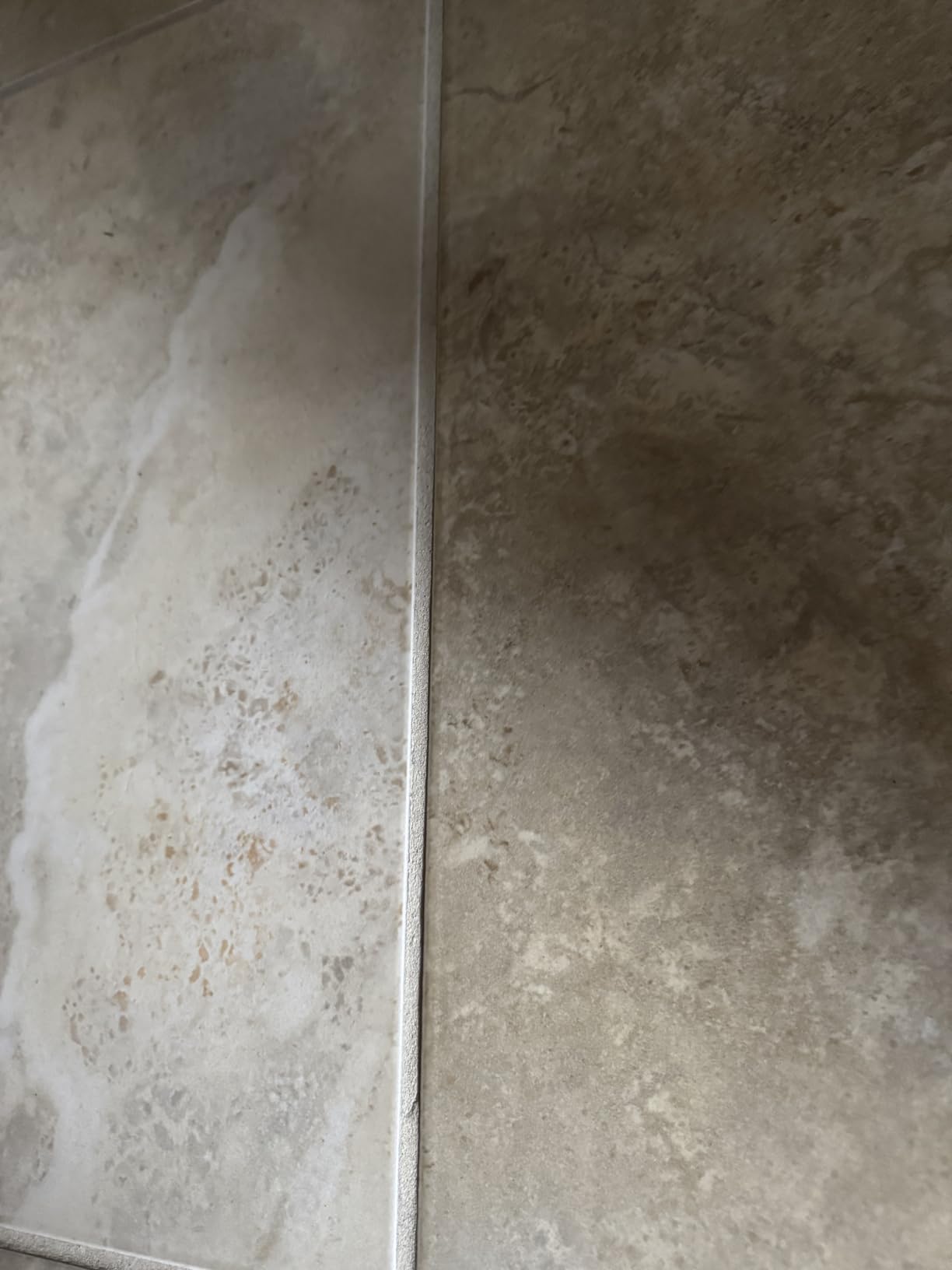 Schenley Lightweight Steam Mop for Hardwood Floor Cleaning customer photo 2