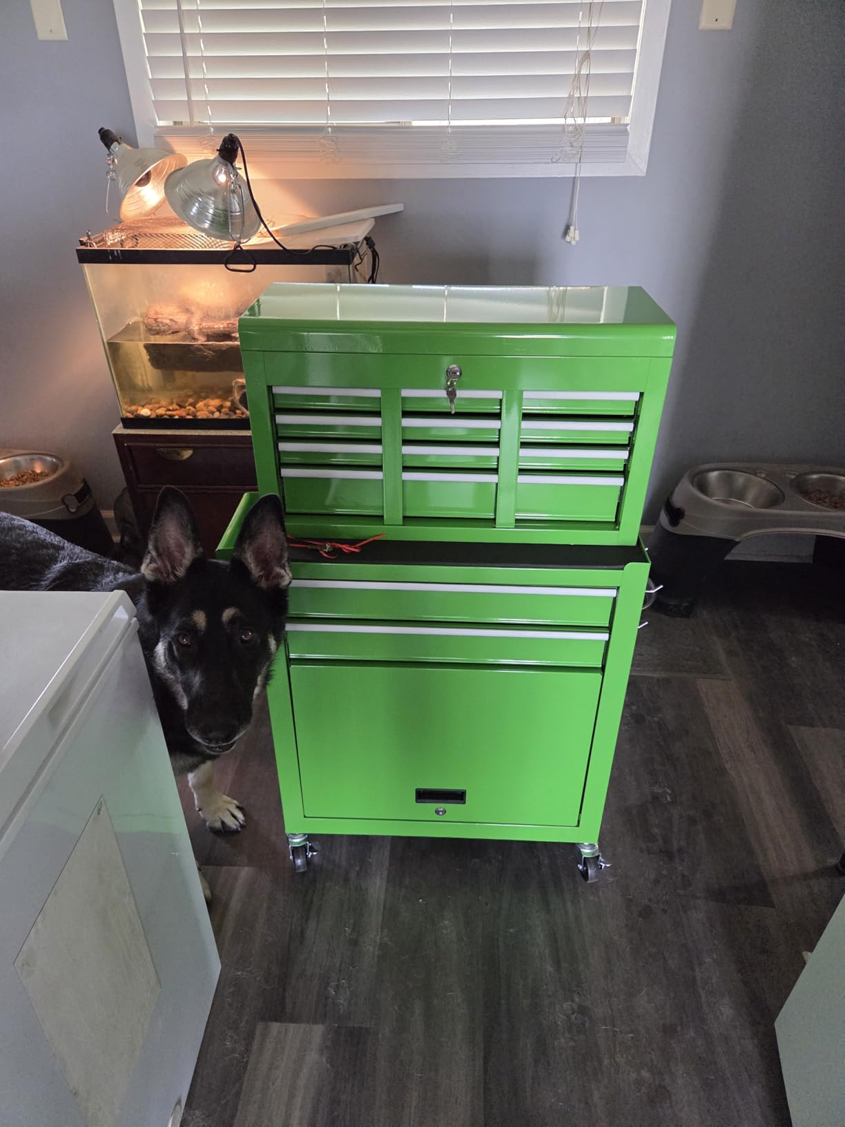Dawmilon Tool Chest, 8-Drawer Rolling Tool Storage Cabinet with Wheels, Detachable Top Tool Box, and Locking Mechanism, Metal Barber Tool Cart with Liner and 6 Hooks for Garage, Workshop, Green customer photo 2
