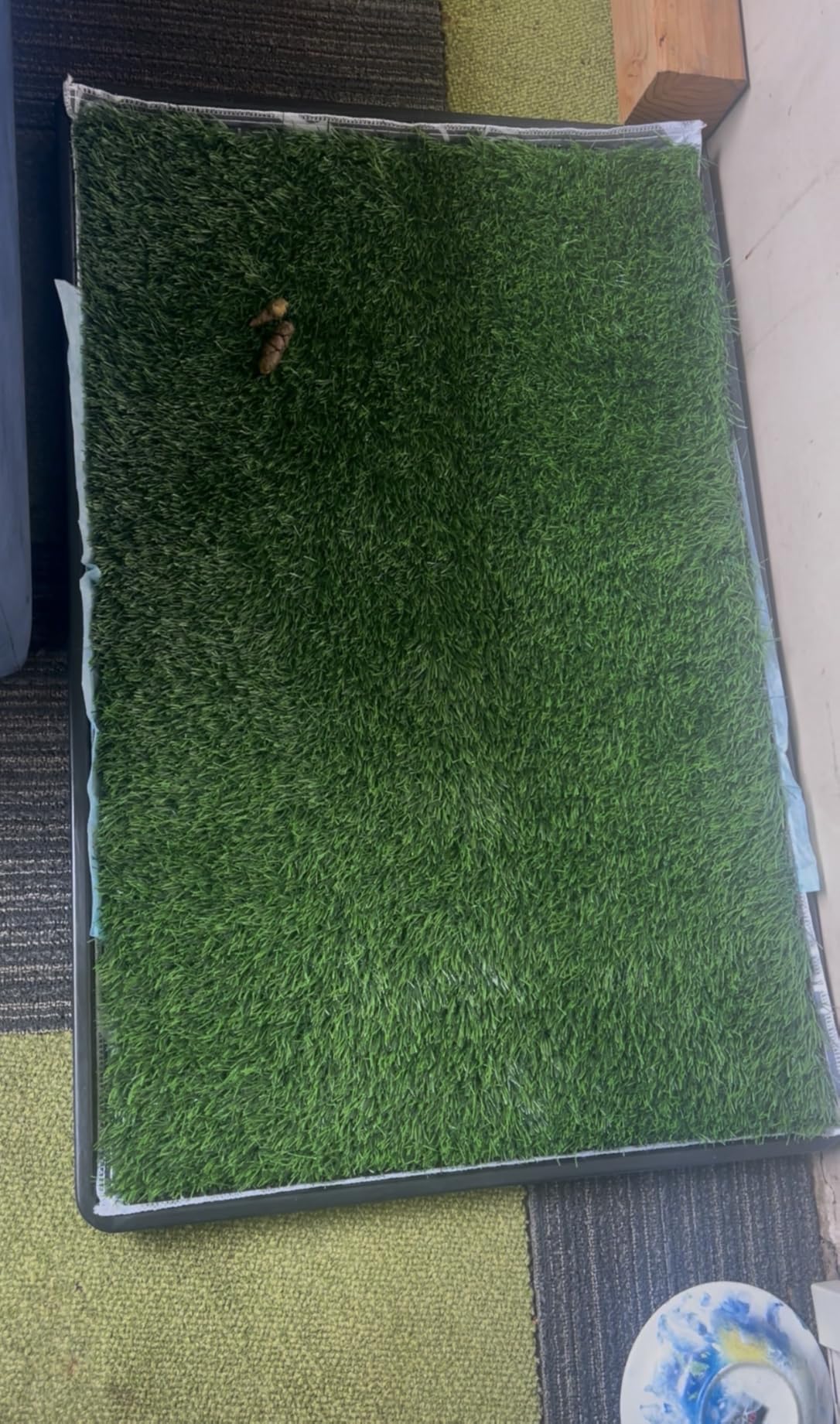 LOOBANI Large Dog Grass Pad with Tray - 41x27in for Balcony Apartment customer photo 2