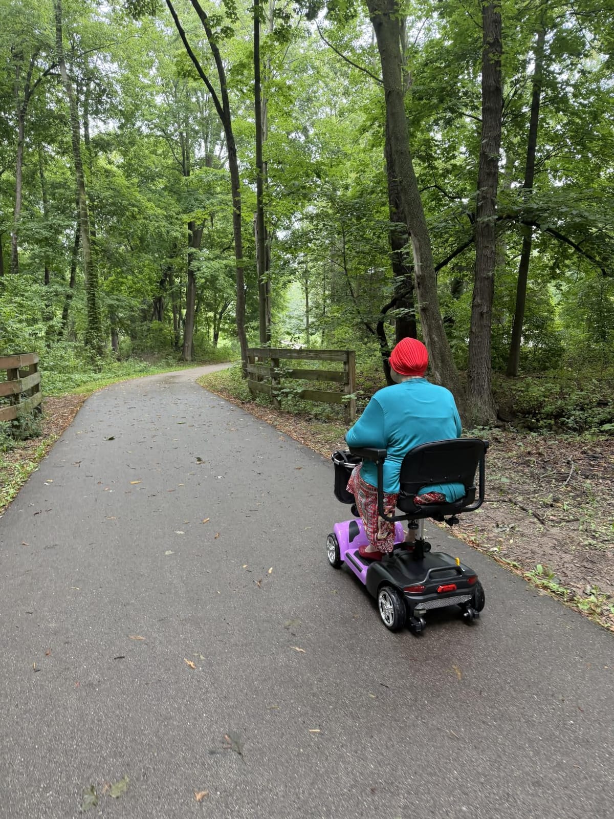 20Miles Mobility Scooter for Seniors/Adults,All Terrain Mobility Scooter customer photo 1