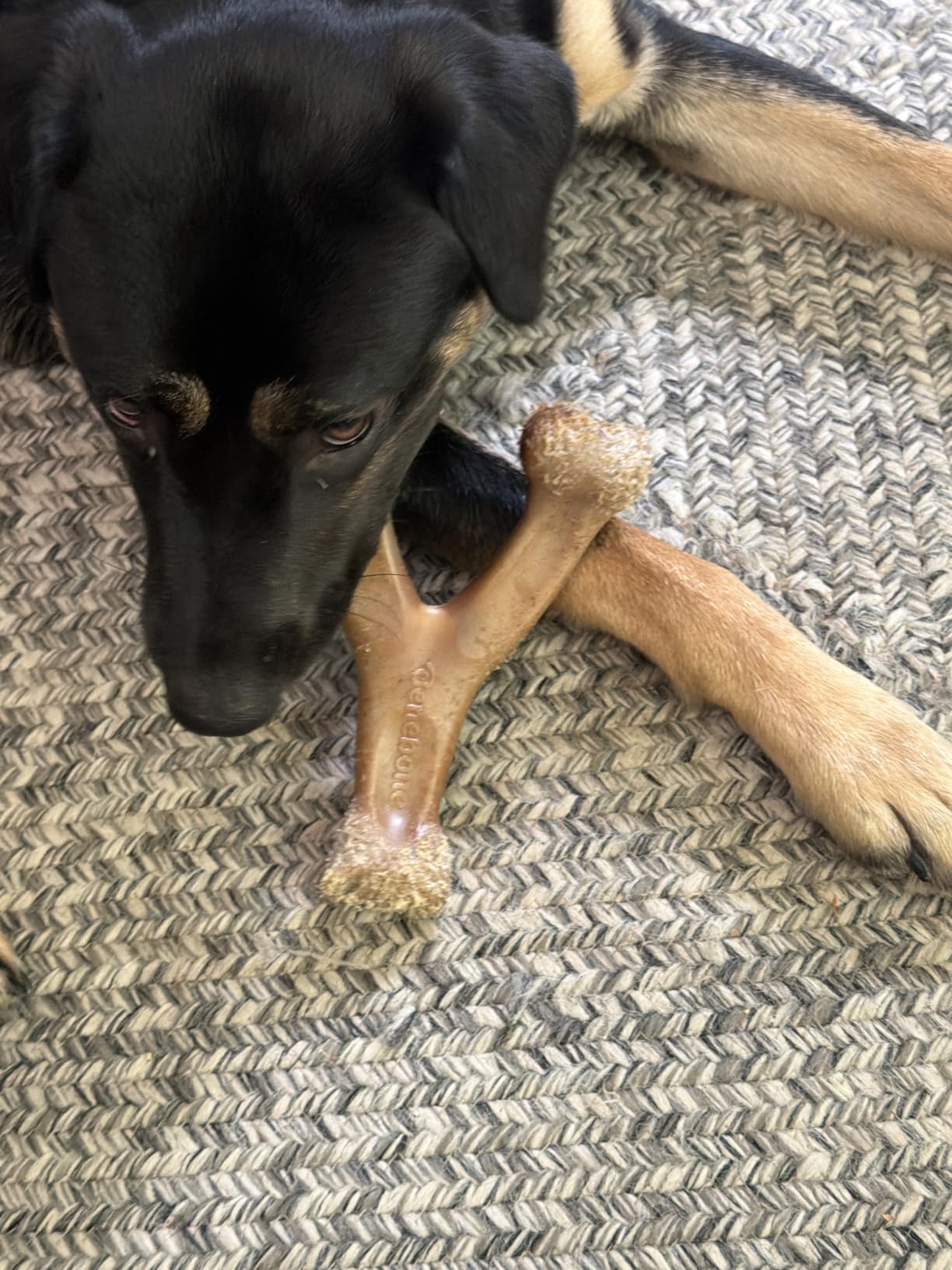 Benebone Wishbone Dog Chew Toy for Aggressive Chewers, Real Bacon, Tiny | Durable, Super Chewer, Made in USA, Dog Bones, Long-Lasting, A Size for Every Dog, Keeps Them Busy customer photo 1