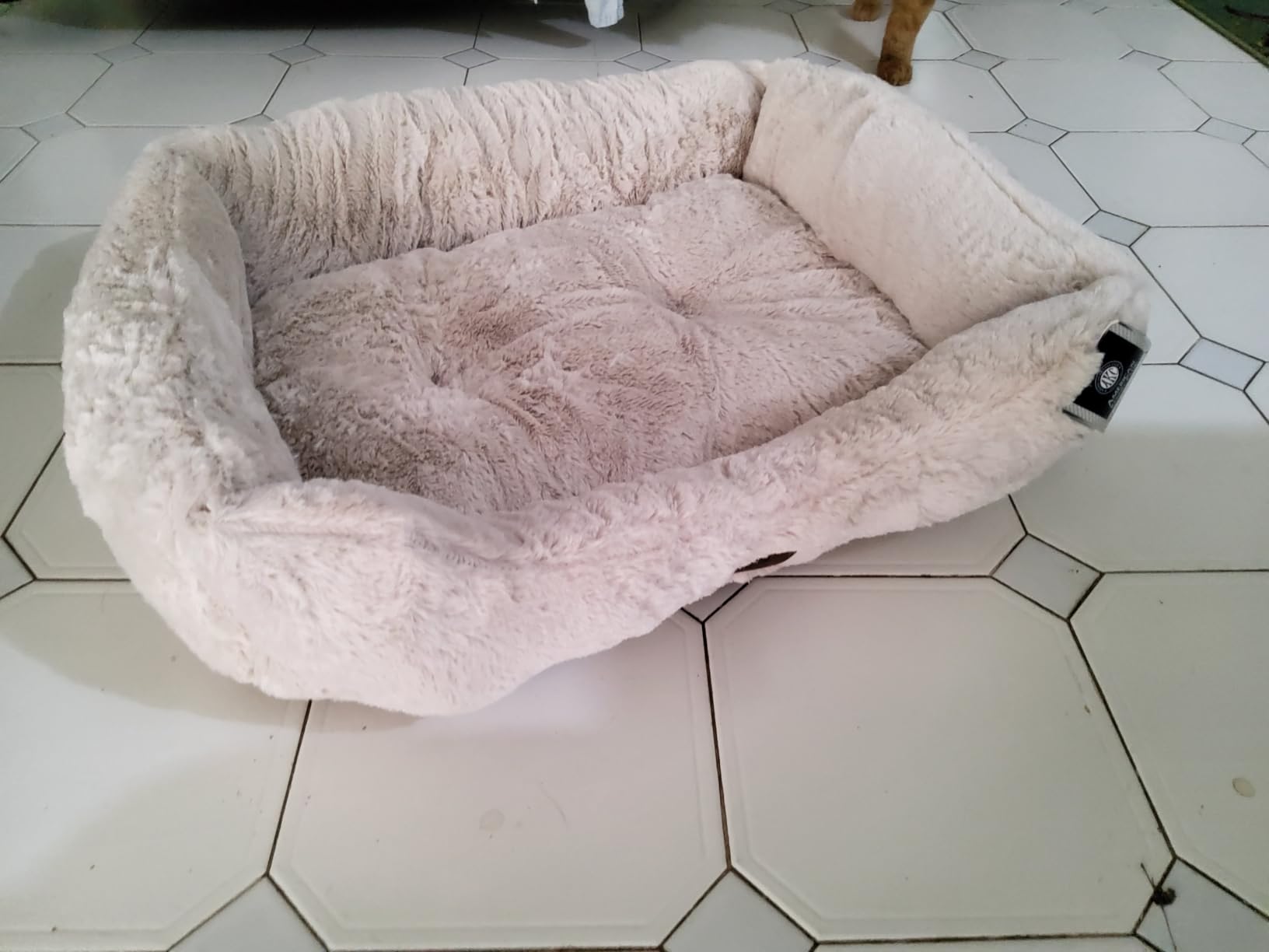 AKC Plush Cuddler Dog Bed, Low-Profile Entrance, Small Dogs, Beige, 25
