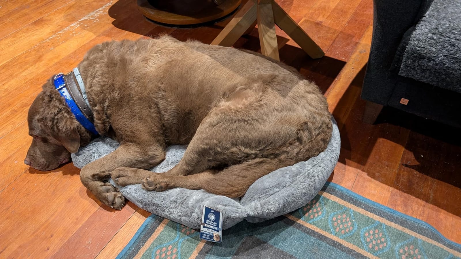 AKC Plush Cuddler Dog Bed, Low-Profile Entrance, Small Dogs, Beige, 25