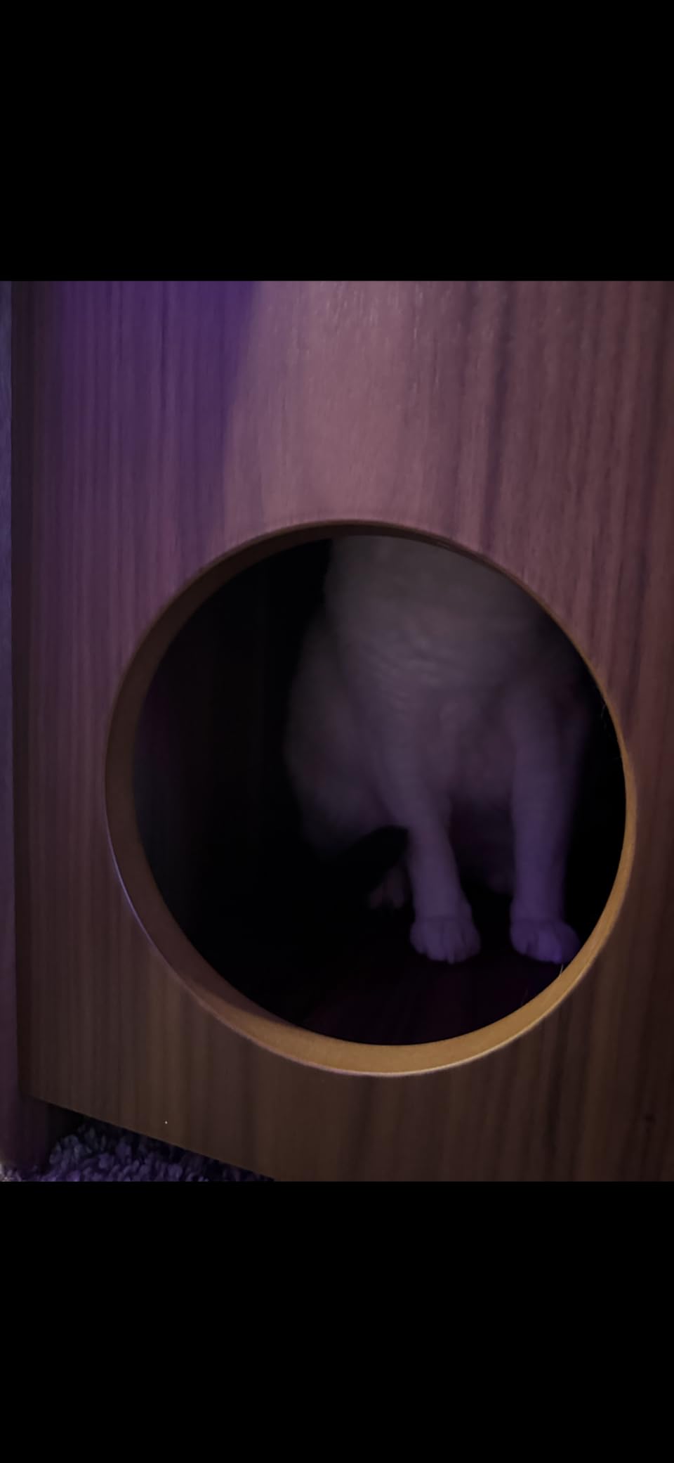 WERMO 12'' Cat Hideaway Side Table - Cat House for Indoor Cats and Enclosed Bed Cave and Hideout for Small Pets with Magazine Holder & Storage Doubling as Narrow End Table, Wood Night Stand (Walnut) customer photo 2