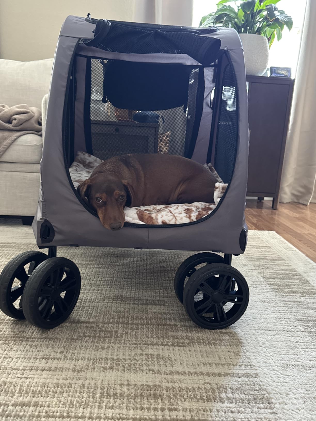 VEVOR Pet Stroller, 4 Wheels Dog Carrier with Brakes, 160lbs Weight Capacity, Portable Puppy Travel Strollers with Breathable Mesh Windows & Height-Adjustable, for Cats & Dogs customer photo 1