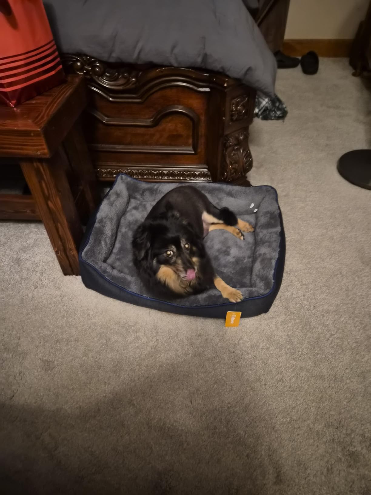 Tidore Orthopedic Dog Bed Medium Size Dog, Durable Egg Crate Foam Sofa Dog Bed with Washable Removable Cover, Waterproof Lining, Pet Beds for Medium Dogs, Navy customer photo 2
