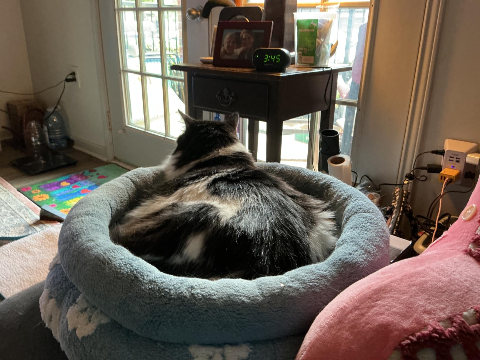 BALANCE Luxury Donut Dog Bed, 30 Inches Round Dog Bed Medium Size Dogs Washable, Orthopedic Calming Dogs Bed for Pets with Anti-Slip Bottom, Oatmeal customer photo 2