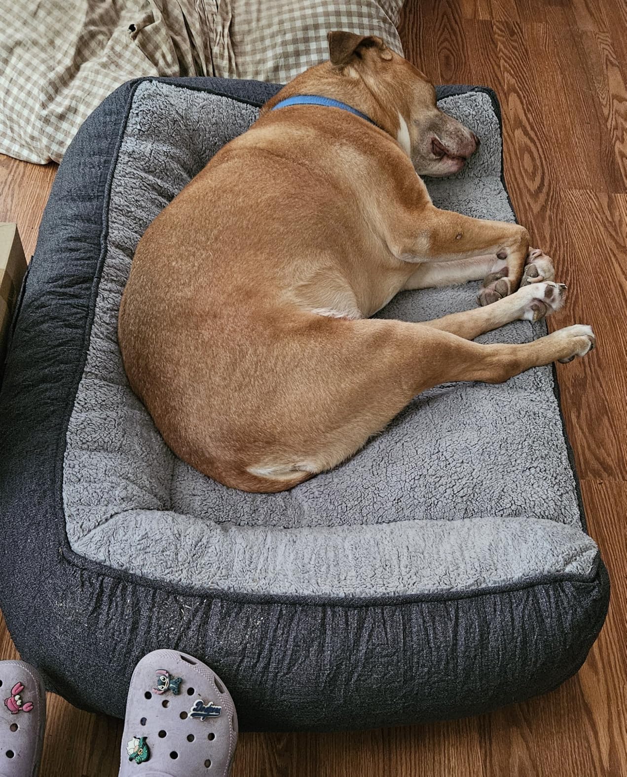 Bedsure SupportMax™ Extra Thick Orthopedic XL Dog Beds Large Sized Dog customer photo 2