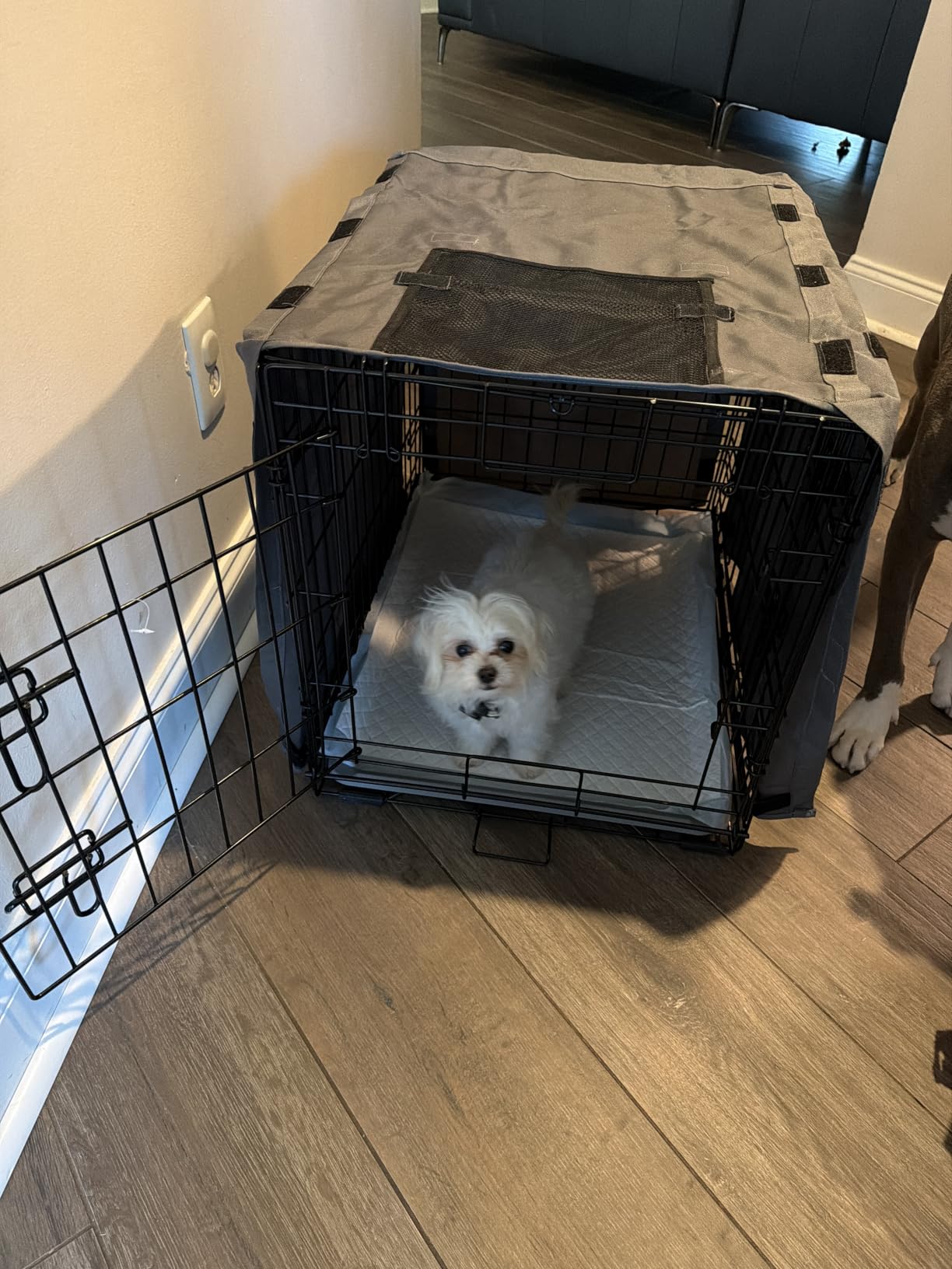GORILLA GRIP Dog Crate Covers, Wire Kennel Topper, 30 in, Taupe Dogs customer photo 1