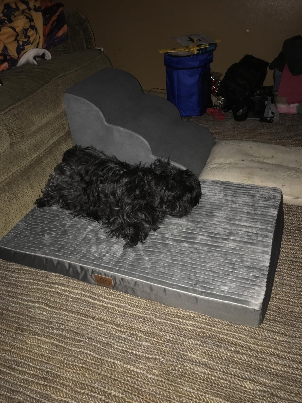 Bedsure ComfyFleece Large Dog Bed for Crate with Washable Cover, 35x22 customer photo 2
