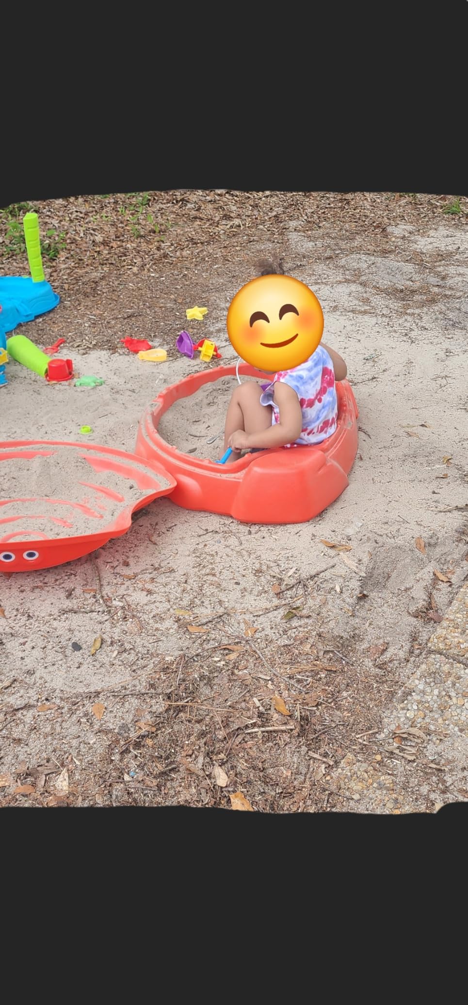 Simplay3 Coastal Crab Fully Assembled Sandbox for Kids, Toddler Outdoor Sand Box with Lid for Playground, Backyard, Ages 1.5 to 5 Years, Made in USA, Teal customer photo 2